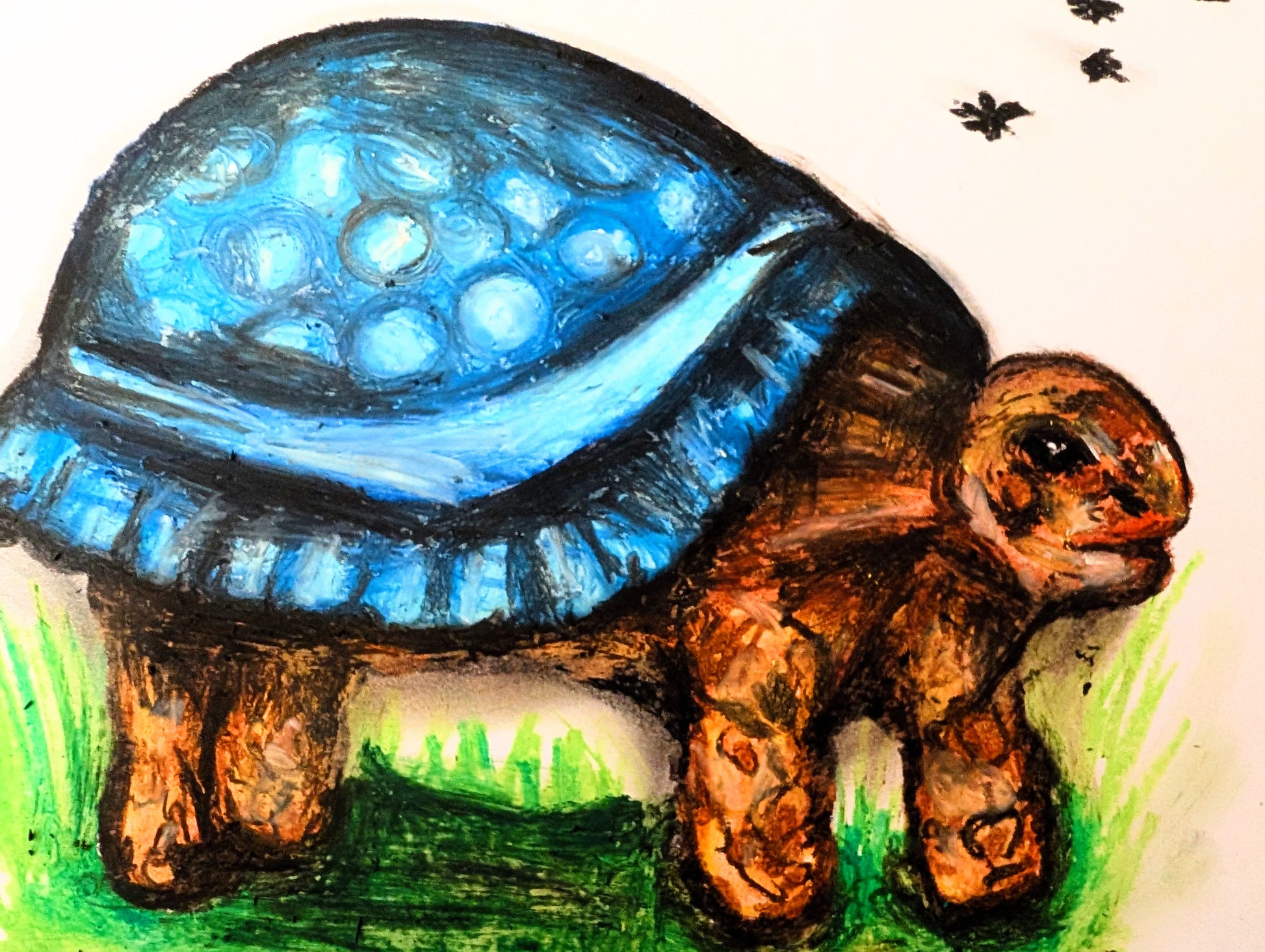 Tortoise With Hat Shell A4 Drawing Unframed - Unorthodox Zoo