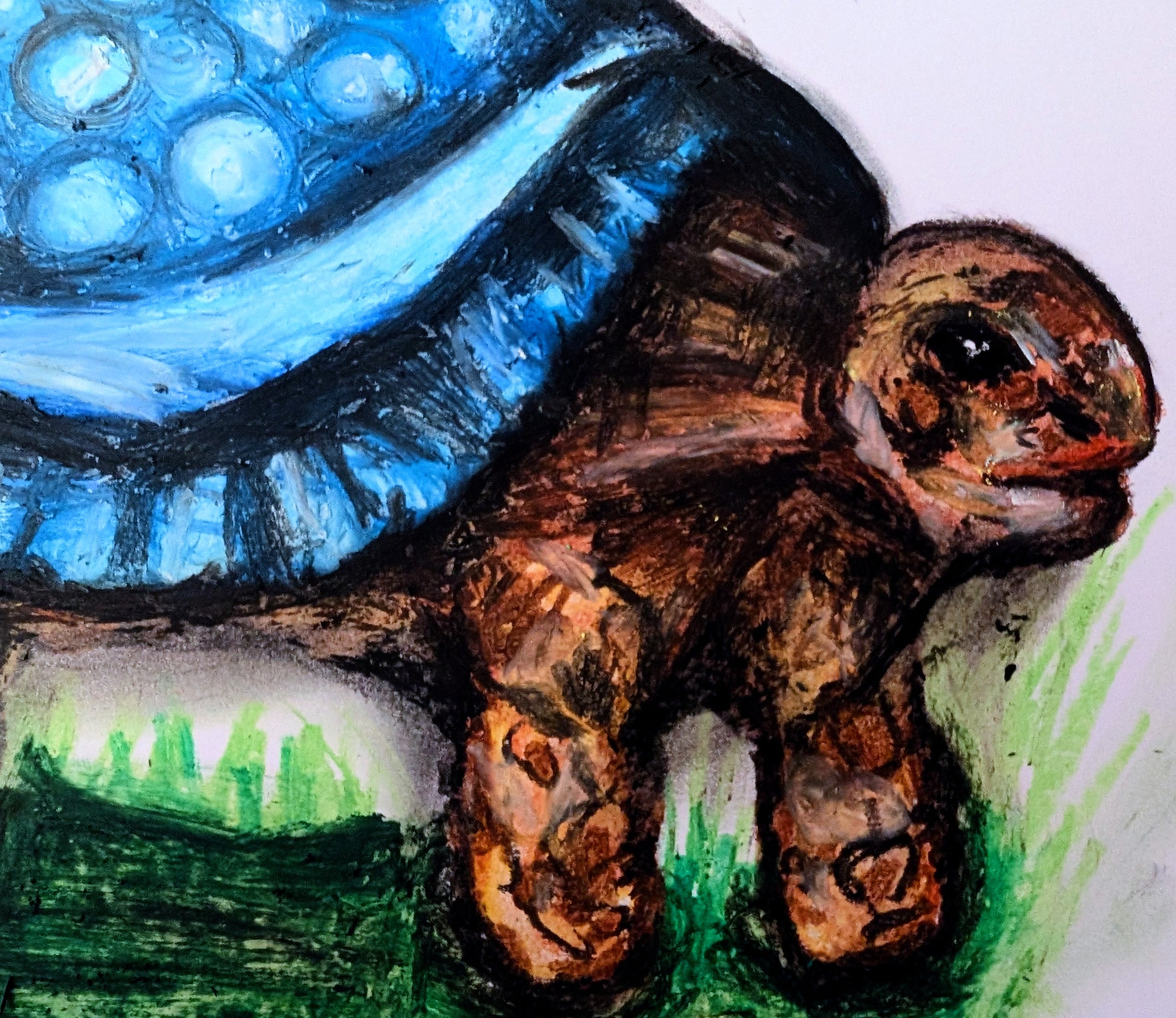 Tortoise With Hat Shell A4 Drawing Unframed - Unorthodox Zoo