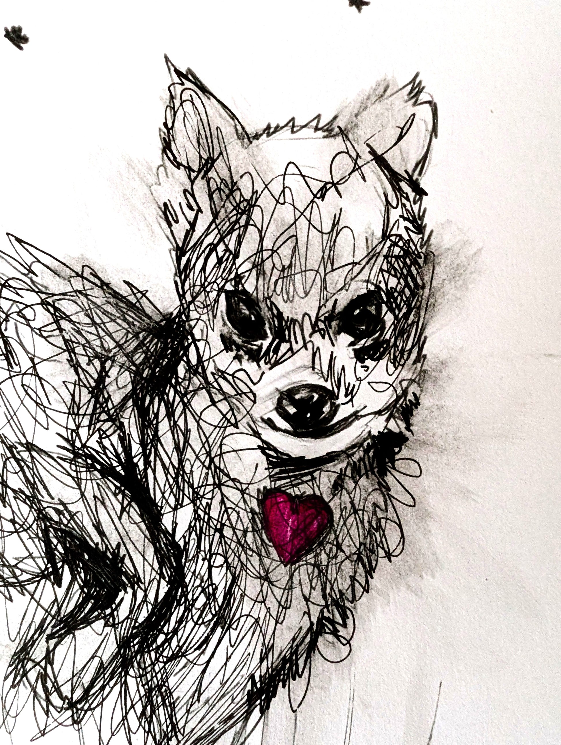 Artistic black and white drawing of a chihuahua with a red collar on a light background