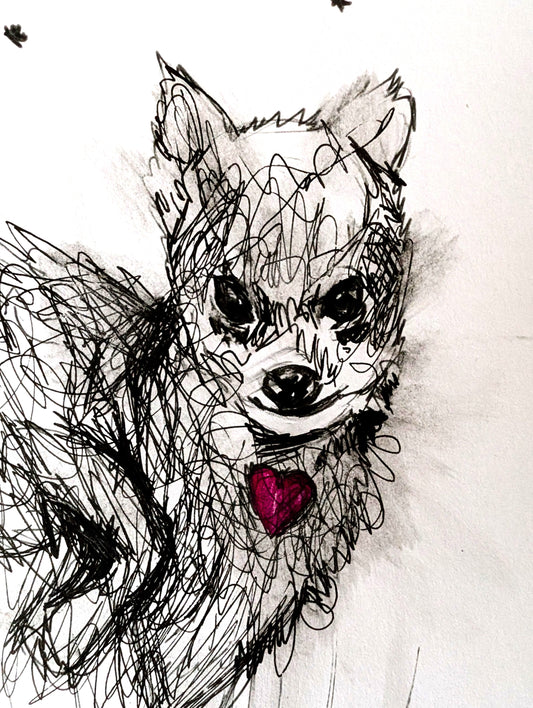 Artistic black and white drawing of a chihuahua with a red collar on a light background