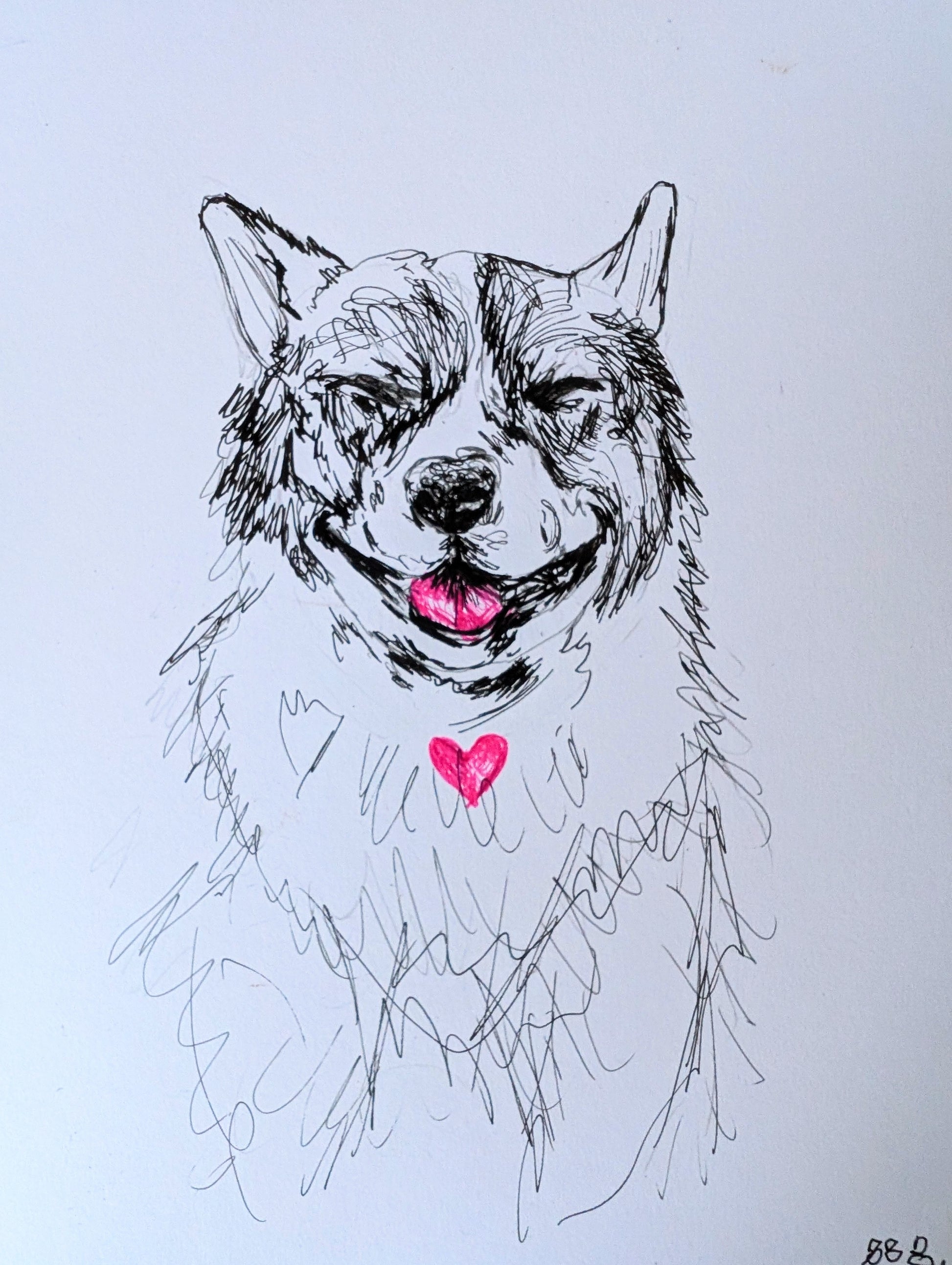 Laughing Corgi With Pink Heart And Pink Tongue Pen Ilustration Drawing A4 Size Unframed - Unorthodox Zoo