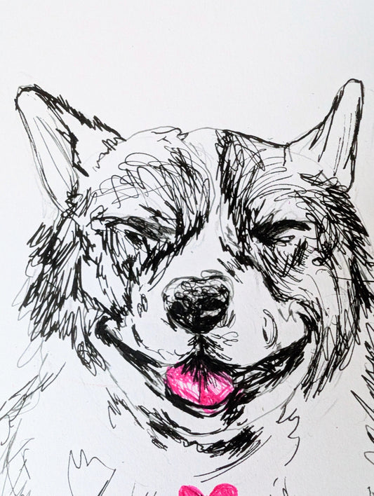 Laughing Corgi With Pink Heart And Pink Tongue Pen Ilustration Drawing A4 Size Unframed - Unorthodox Zoo