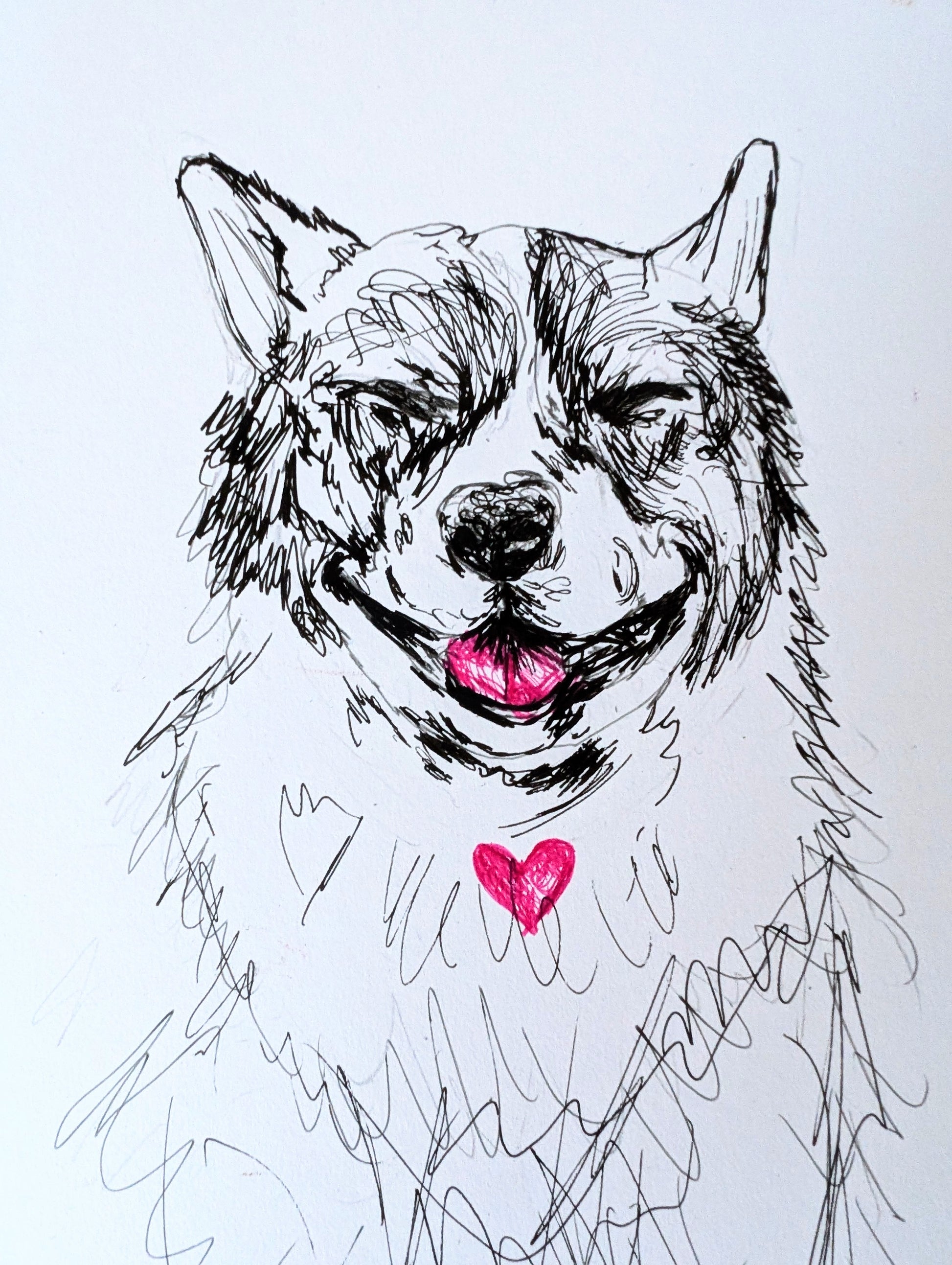 Laughing Corgi With Pink Heart And Pink Tongue Pen Ilustration Drawing A4 Size Unframed - Unorthodox Zoo
