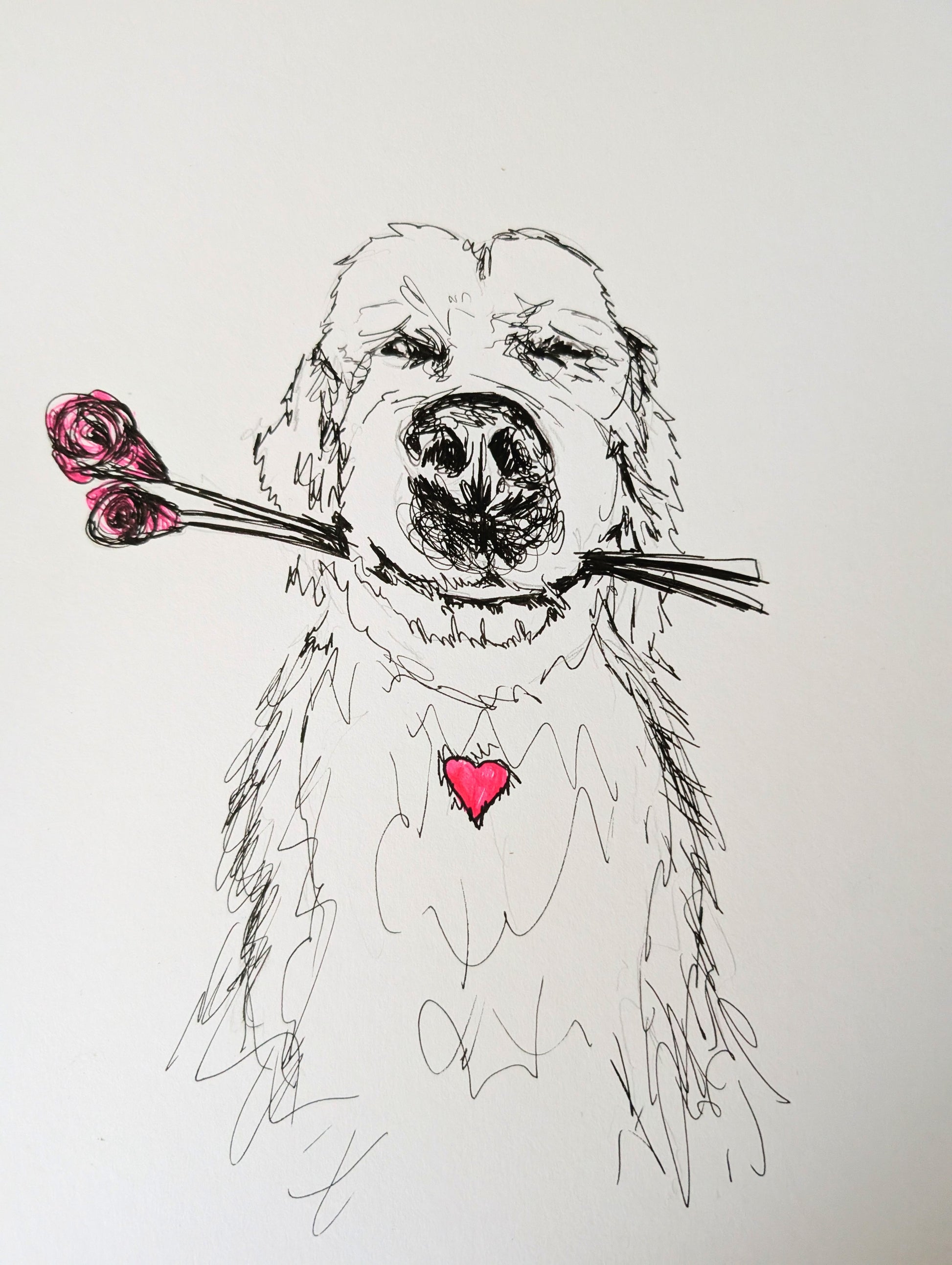 Retrievin' Some Roses Pen Illustration Drawing A4 Size Unframed - Unorthodox Zoo