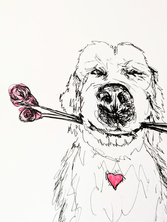Retrievin' Some Roses Pen Illustration Drawing A4 Size Unframed - Unorthodox Zoo