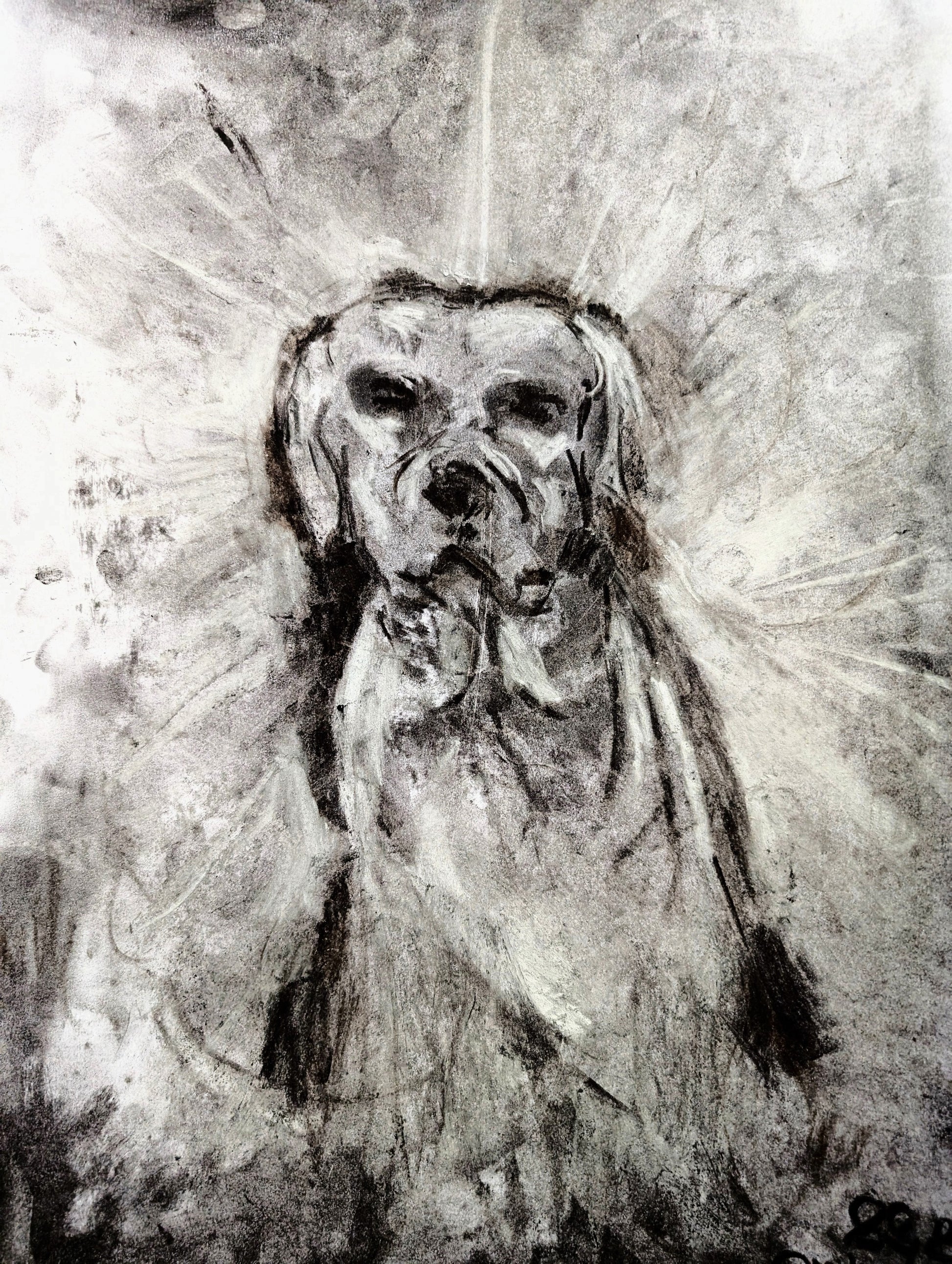 Black And White Charcoal Dog A3 Size Unframed Drawing Ilustration - Unorthodox Zoo