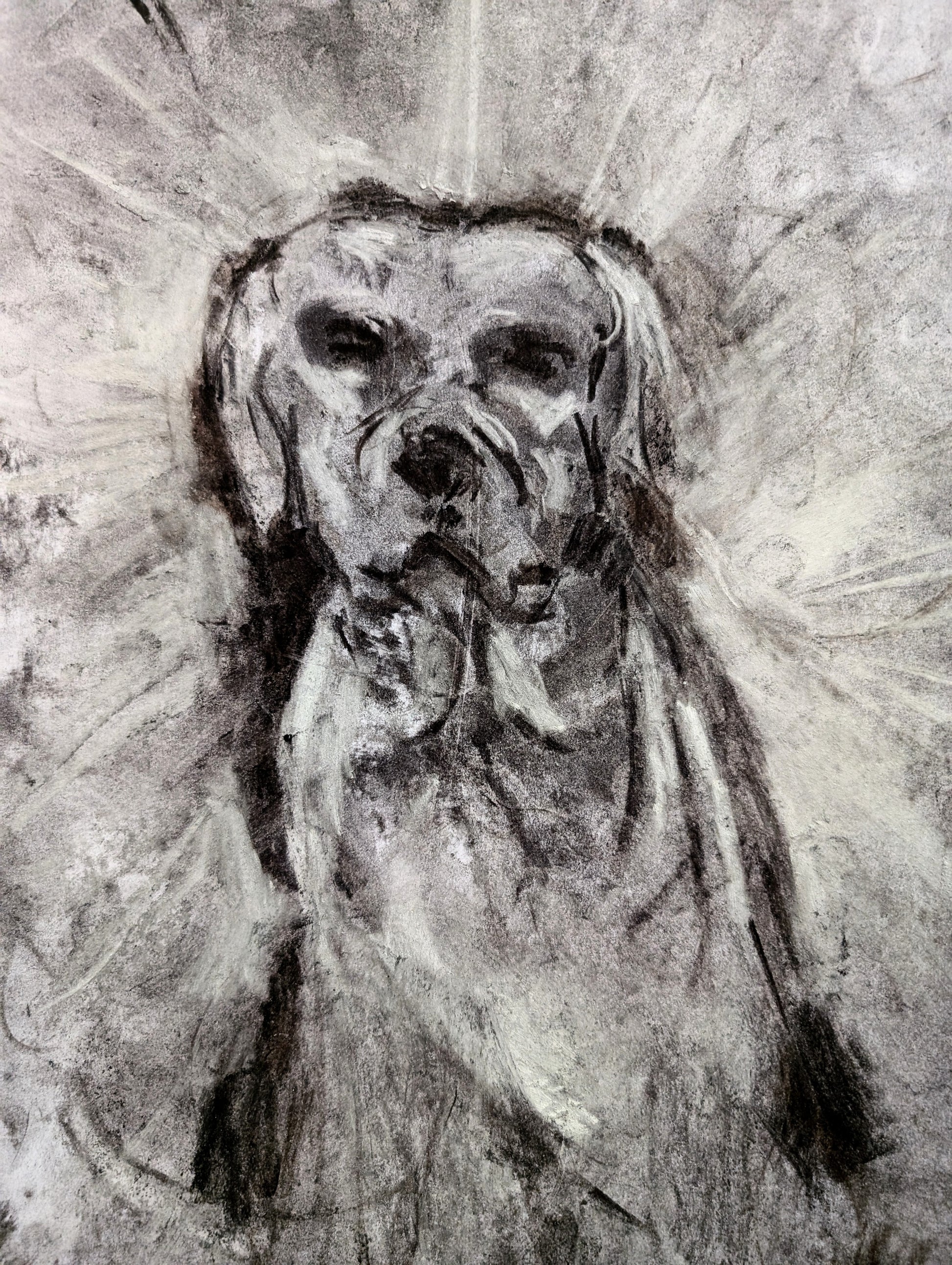 Black And White Charcoal Dog A3 Size Unframed Drawing Ilustration - Unorthodox Zoo