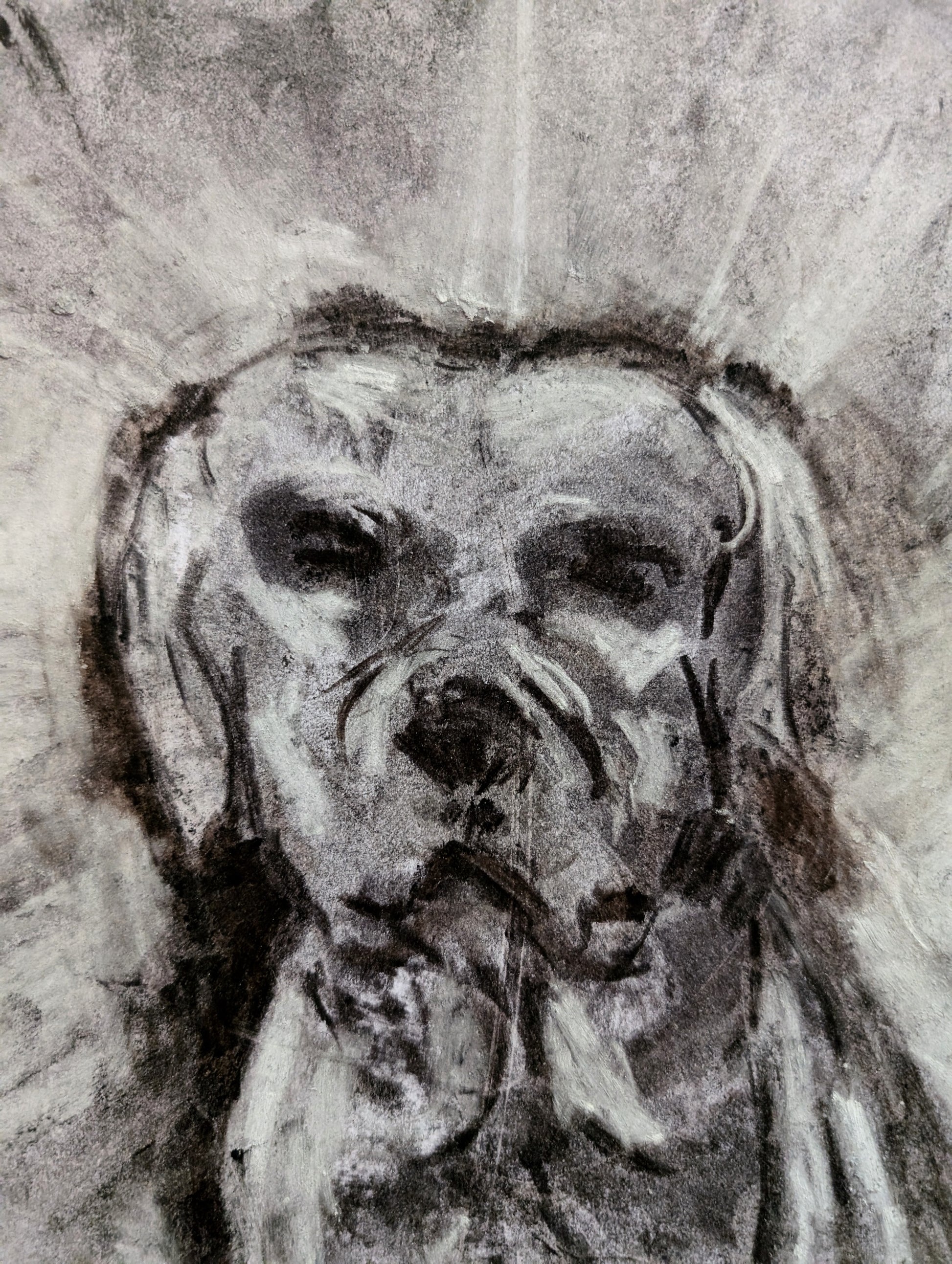 Black And White Charcoal Dog A3 Size Unframed Drawing Ilustration - Unorthodox Zoo