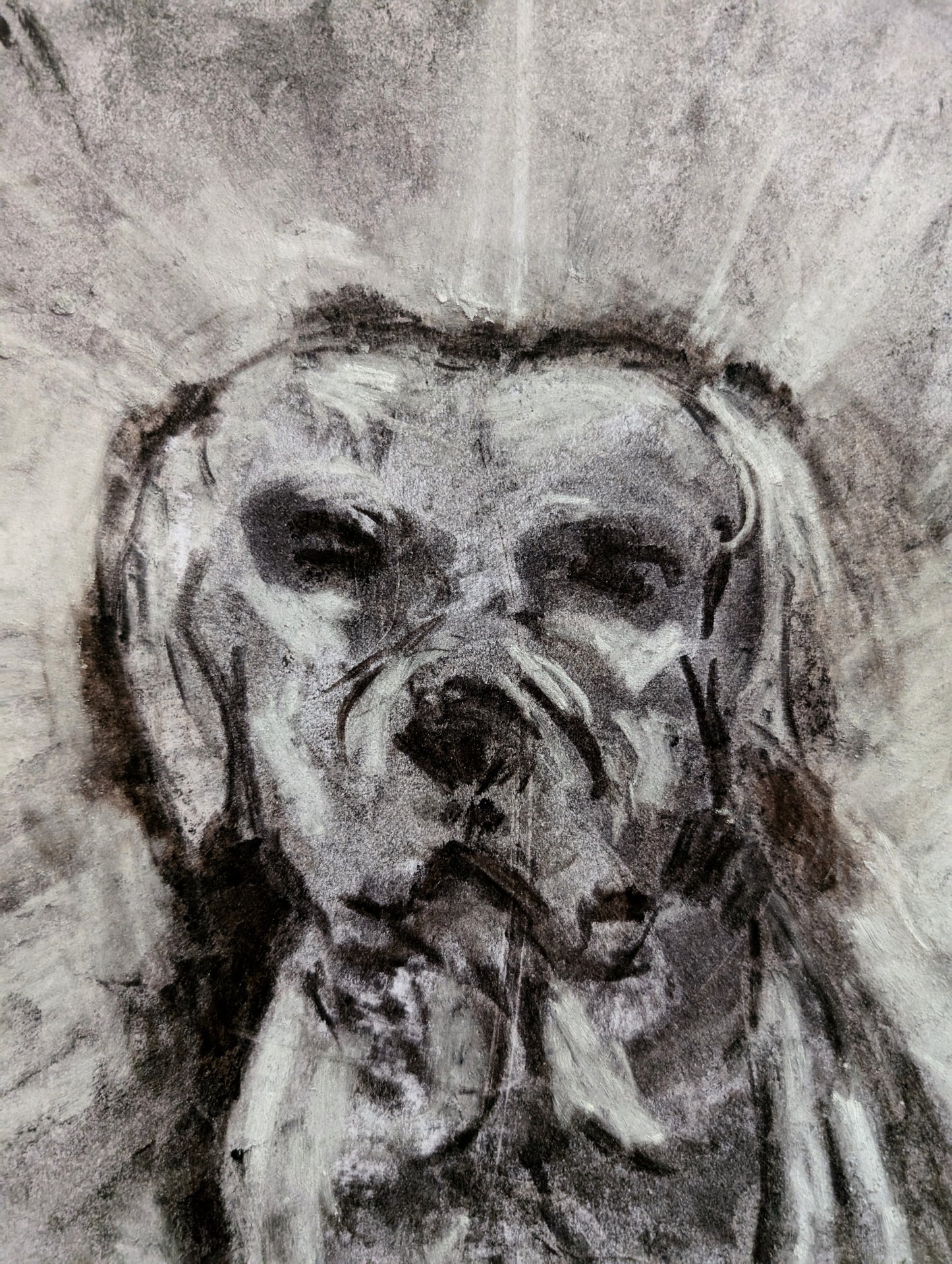 Black And White Charcoal Dog A3 Size Unframed Drawing Ilustration