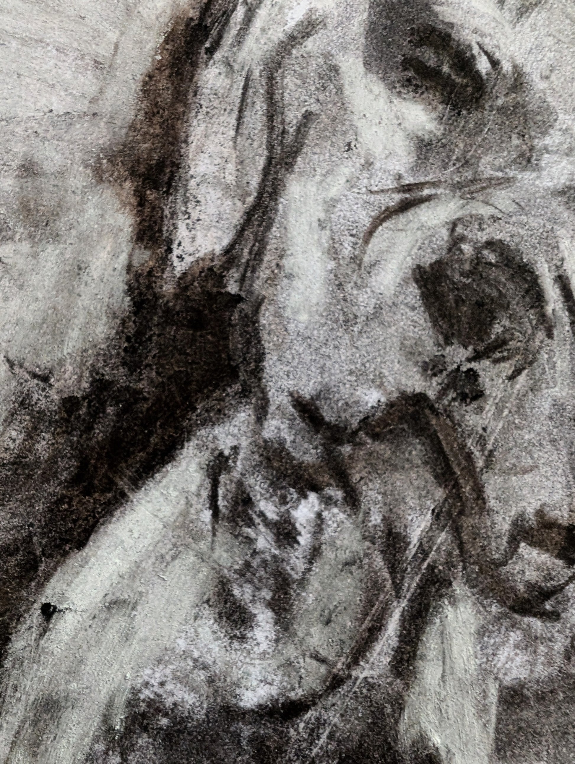 Black And White Charcoal Dog A3 Size Unframed Drawing Ilustration - Unorthodox Zoo