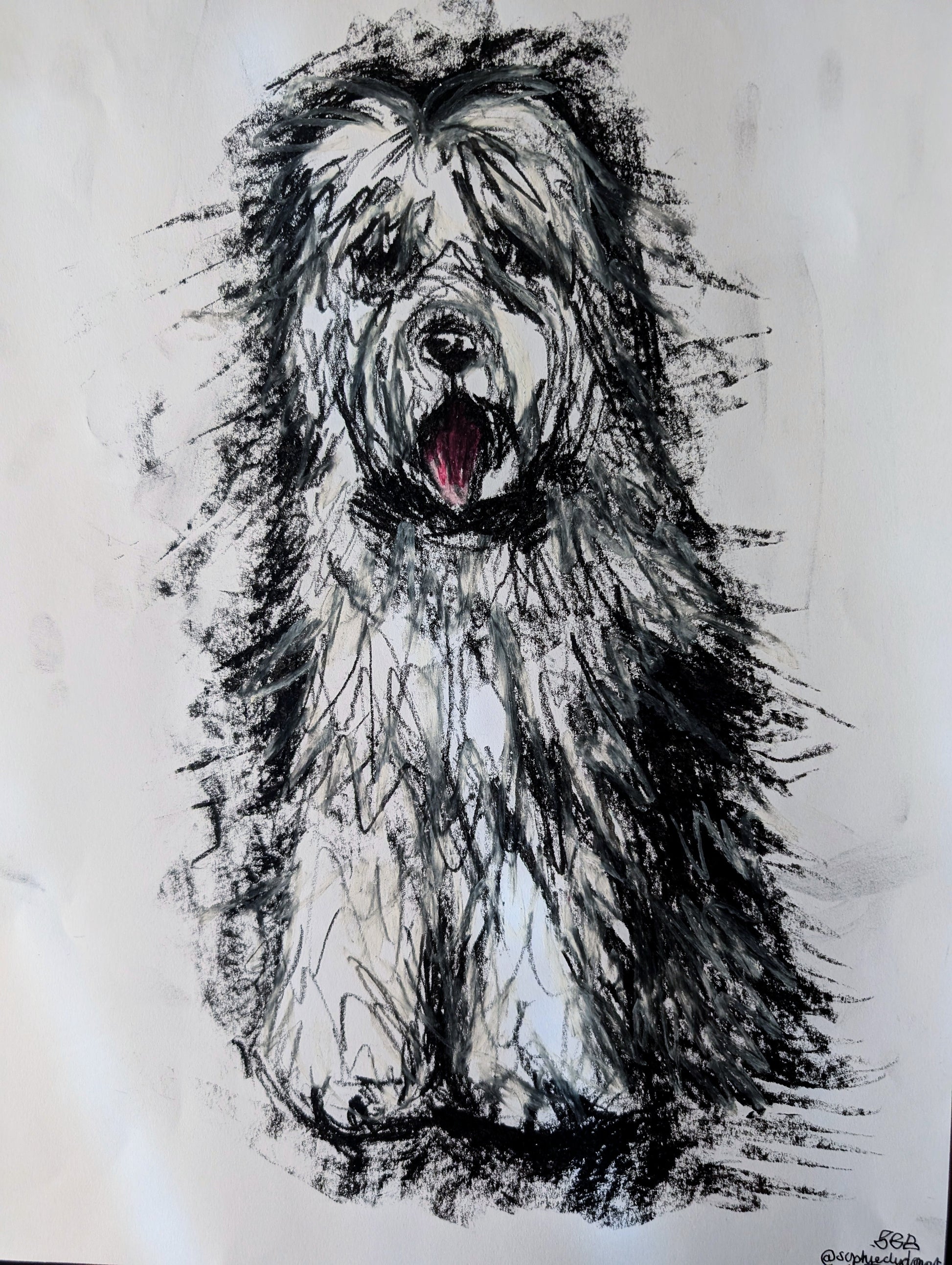 White & Grey Long Haired Dog With Pink Tongue Oil Pastel Illustration Drawing A3 Size Unframed - Unorthodox Zoo