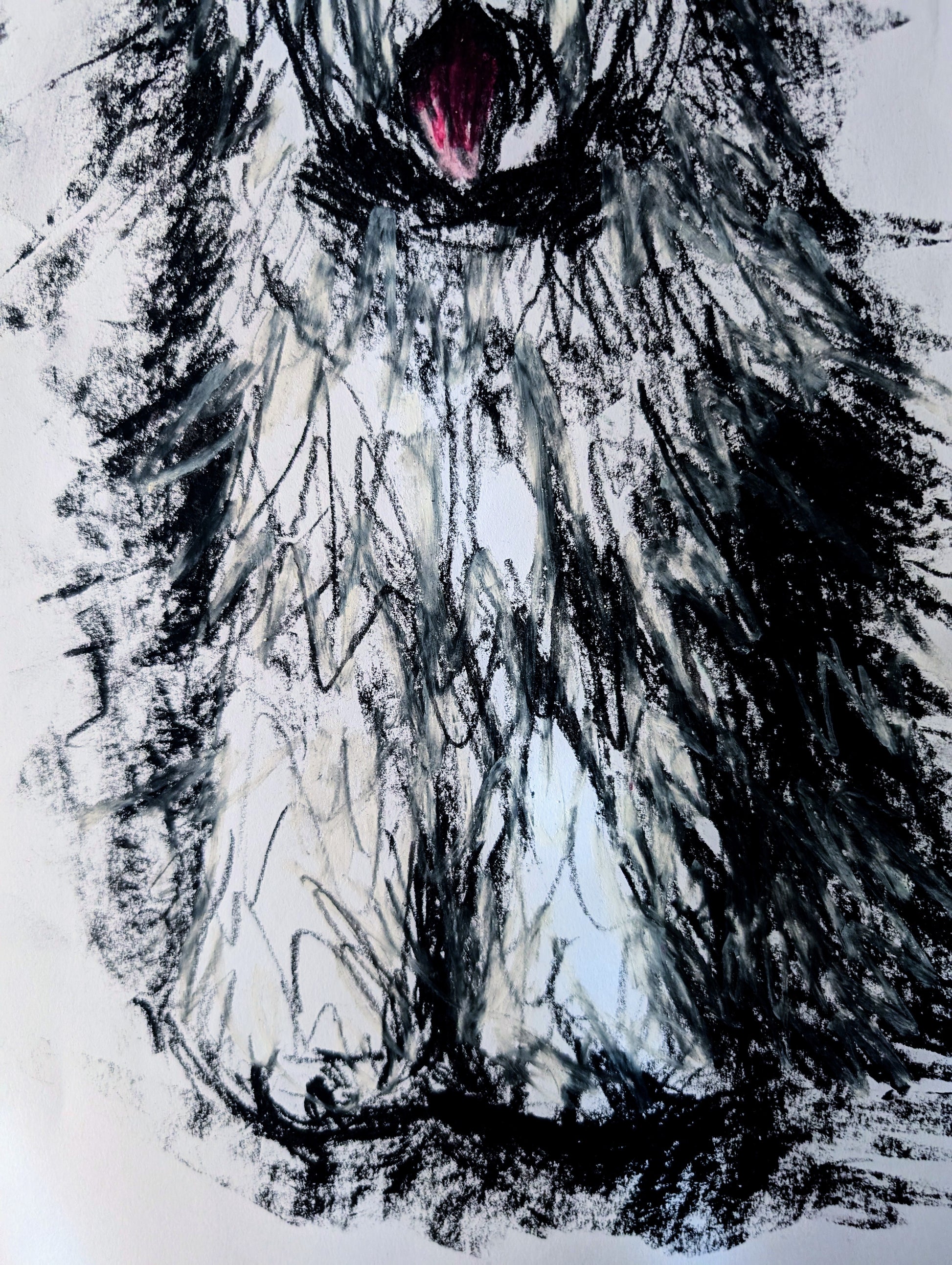 White & Grey Long Haired Dog With Pink Tongue Oil Pastel Illustration Drawing A3 Size Unframed - Unorthodox Zoo