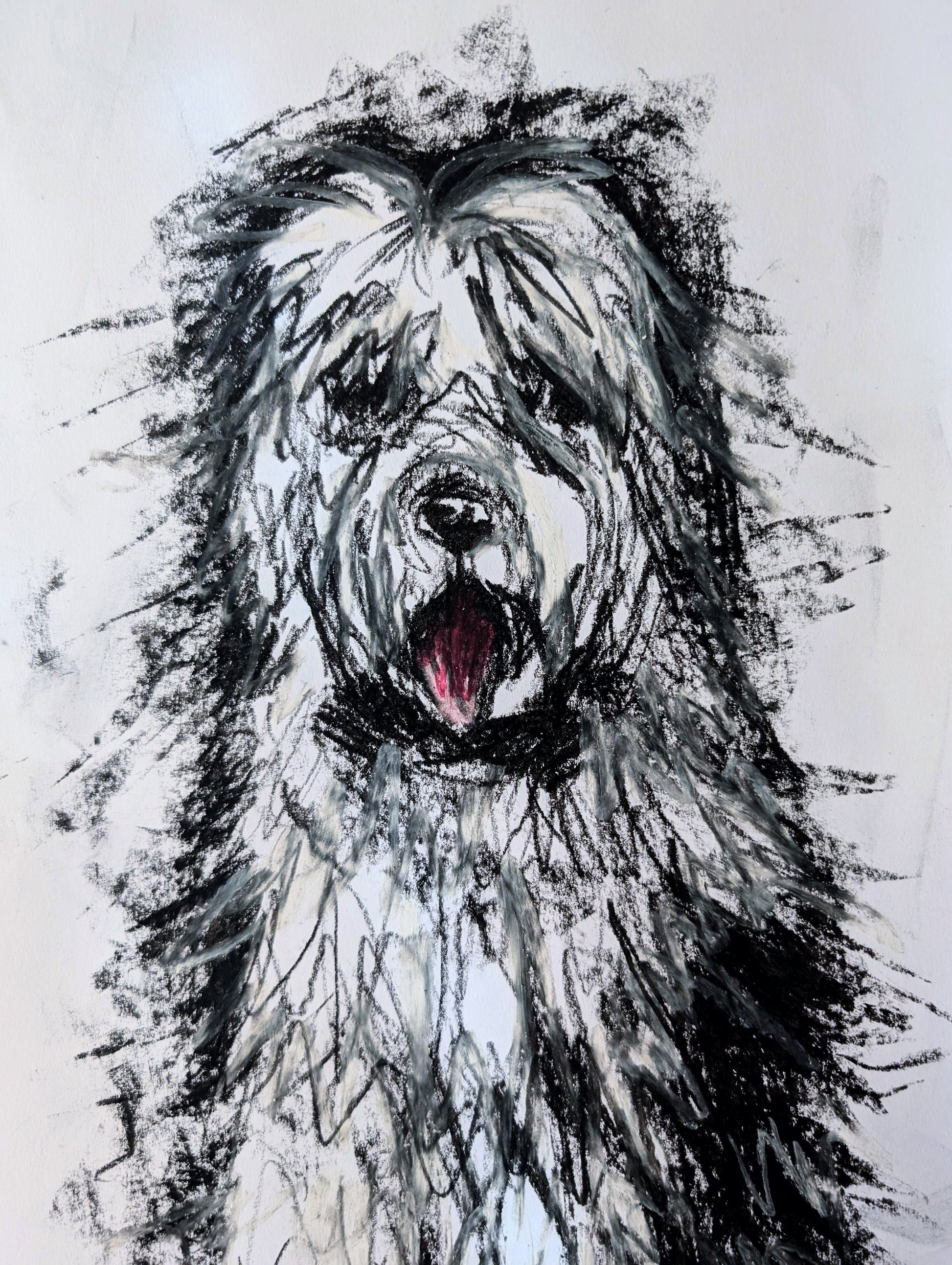 White & Grey Long Haired Dog With Pink Tongue Oil Pastel Illustration Drawing A3 Size Unframed - Unorthodox Zoo