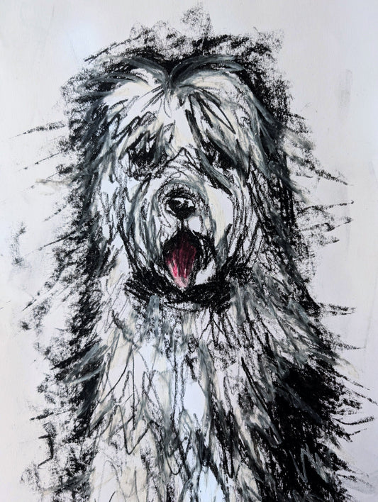 White & Grey Long Haired Dog With Pink Tongue Oil Pastel Illustration Drawing A3 Size Unframed - Unorthodox Zoo