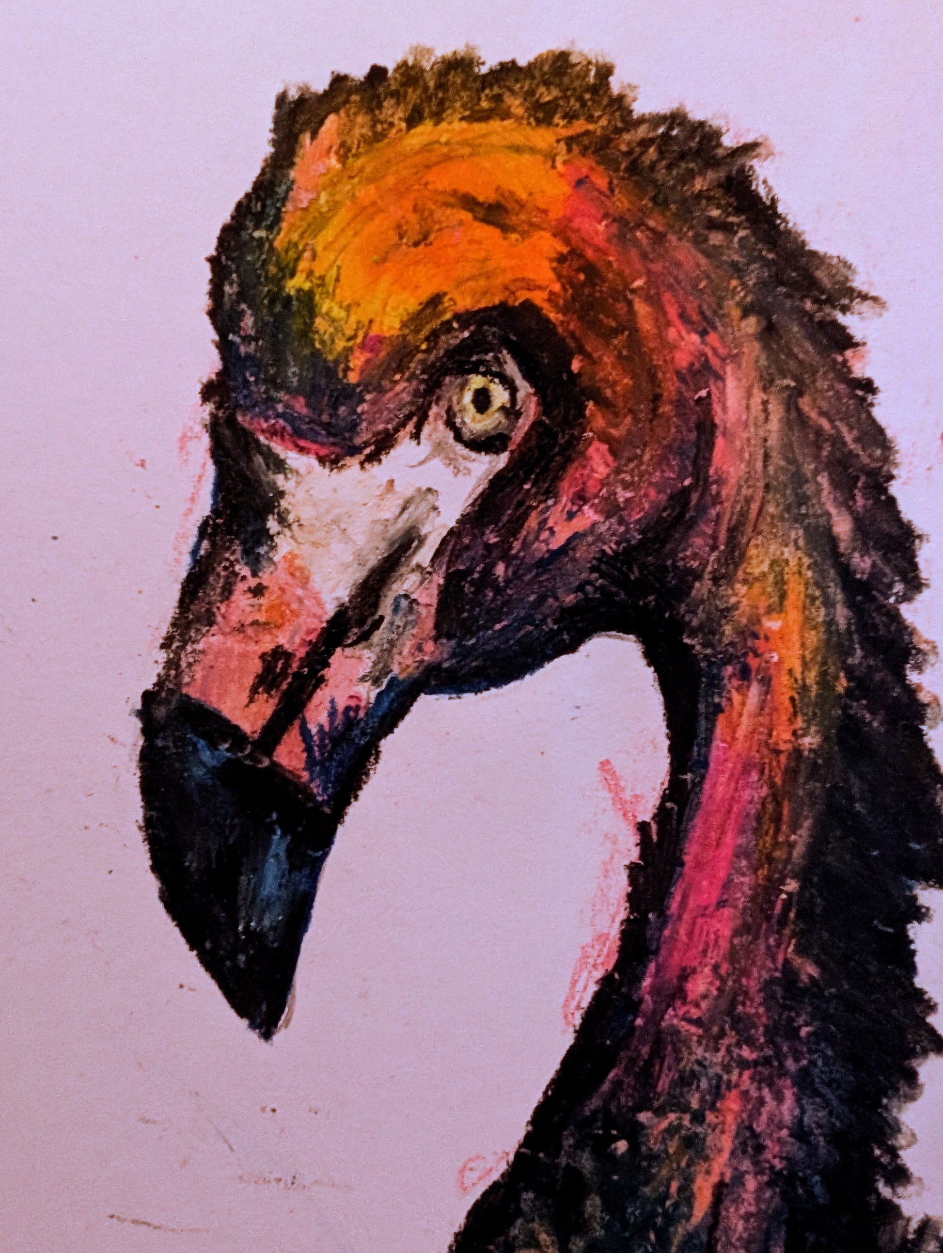 Colorful oil pastel of a bird's head on a white background