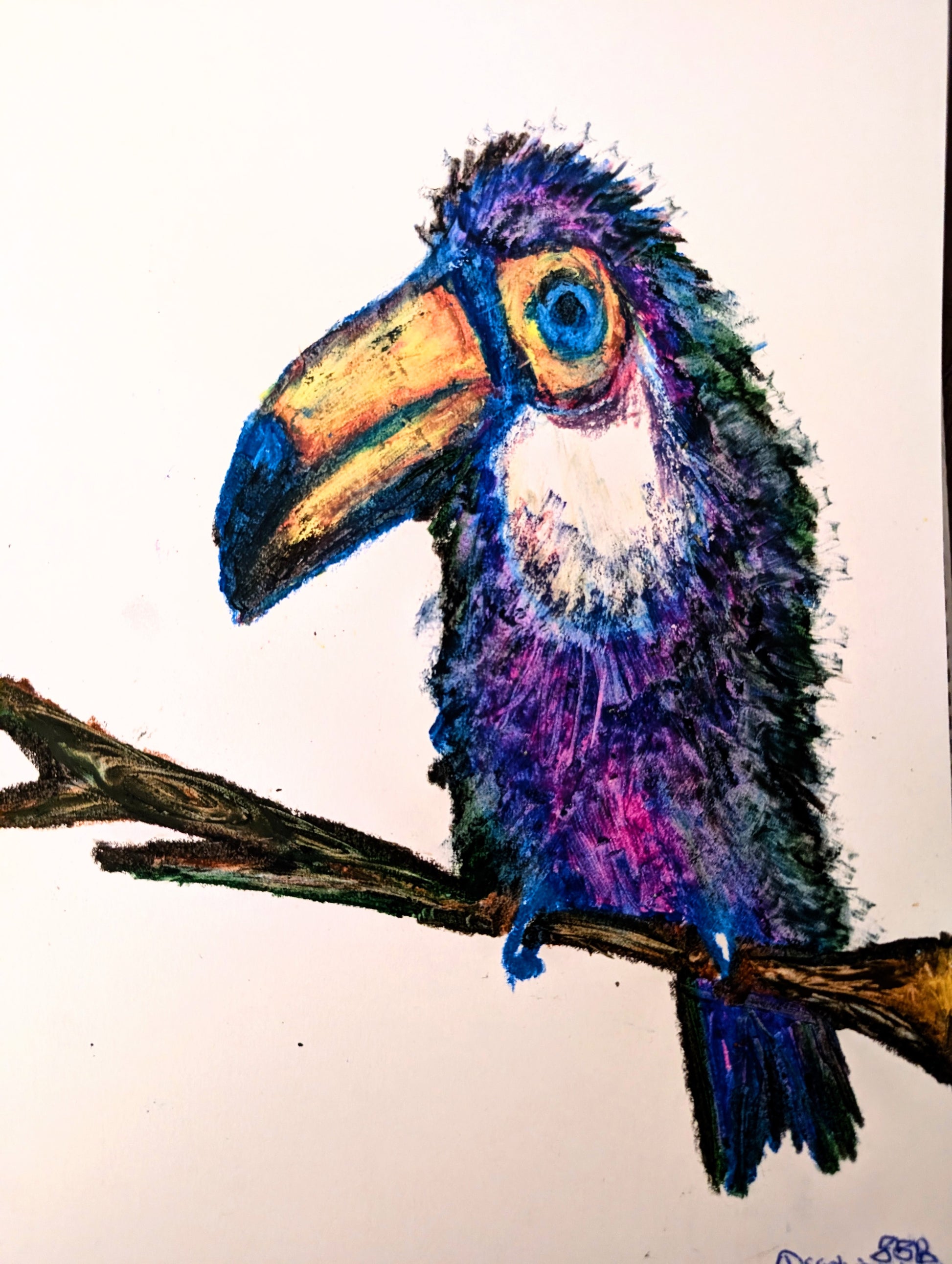 Colorful toucan illustration on a branch with a white background