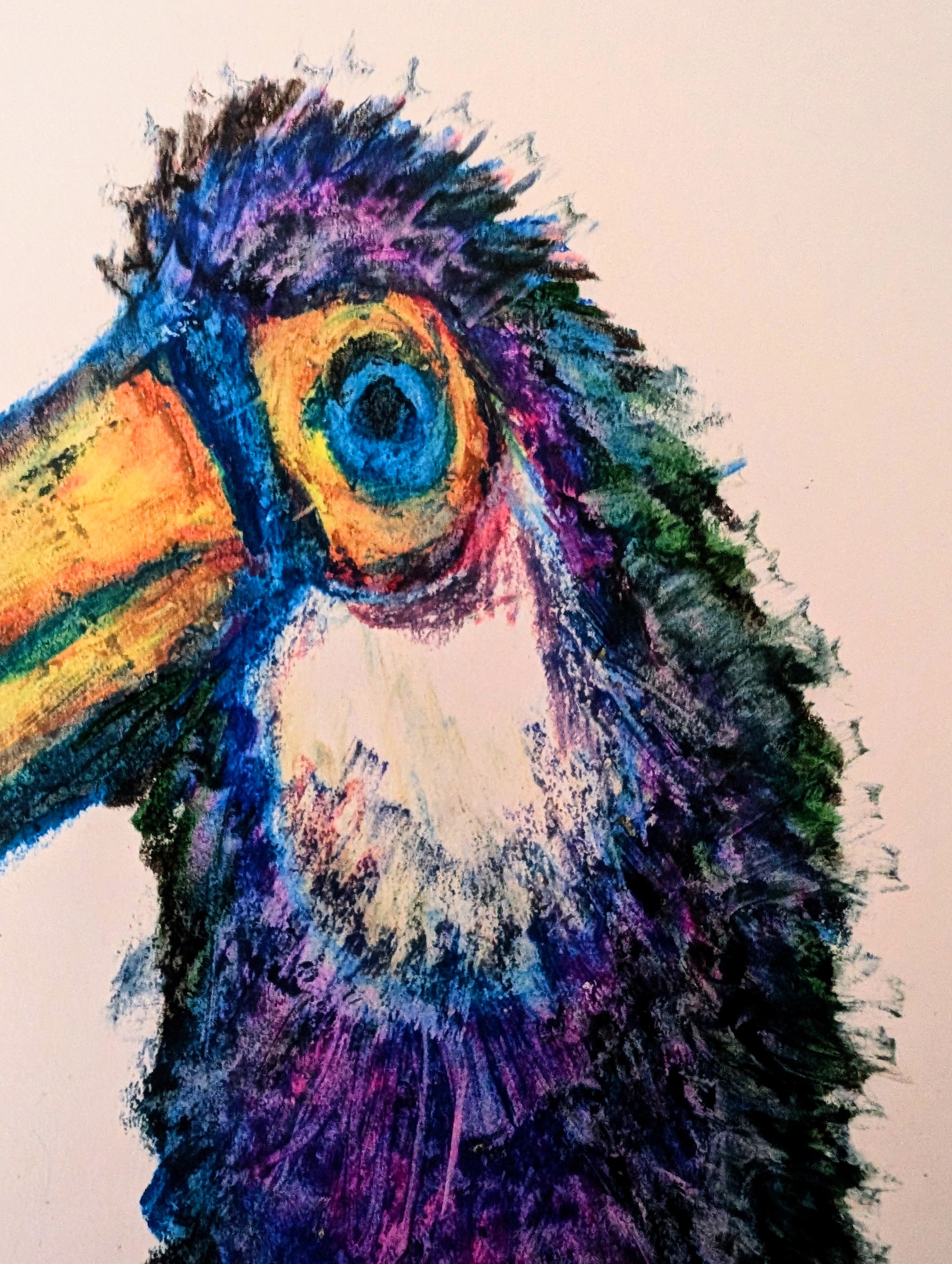 Colorful toucan illustration on a white background