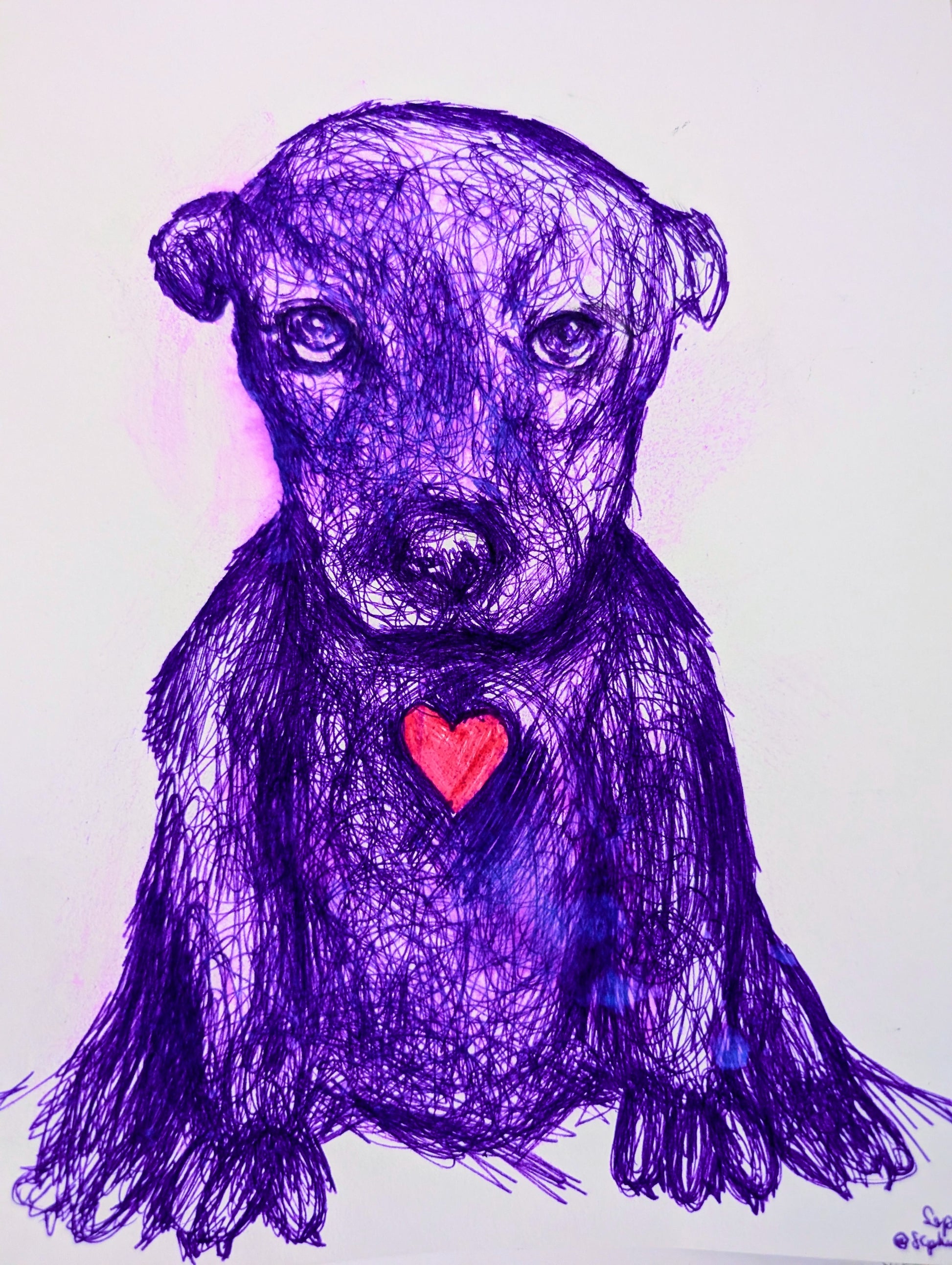 Purple drawing of a dog with a pink heart on a white background