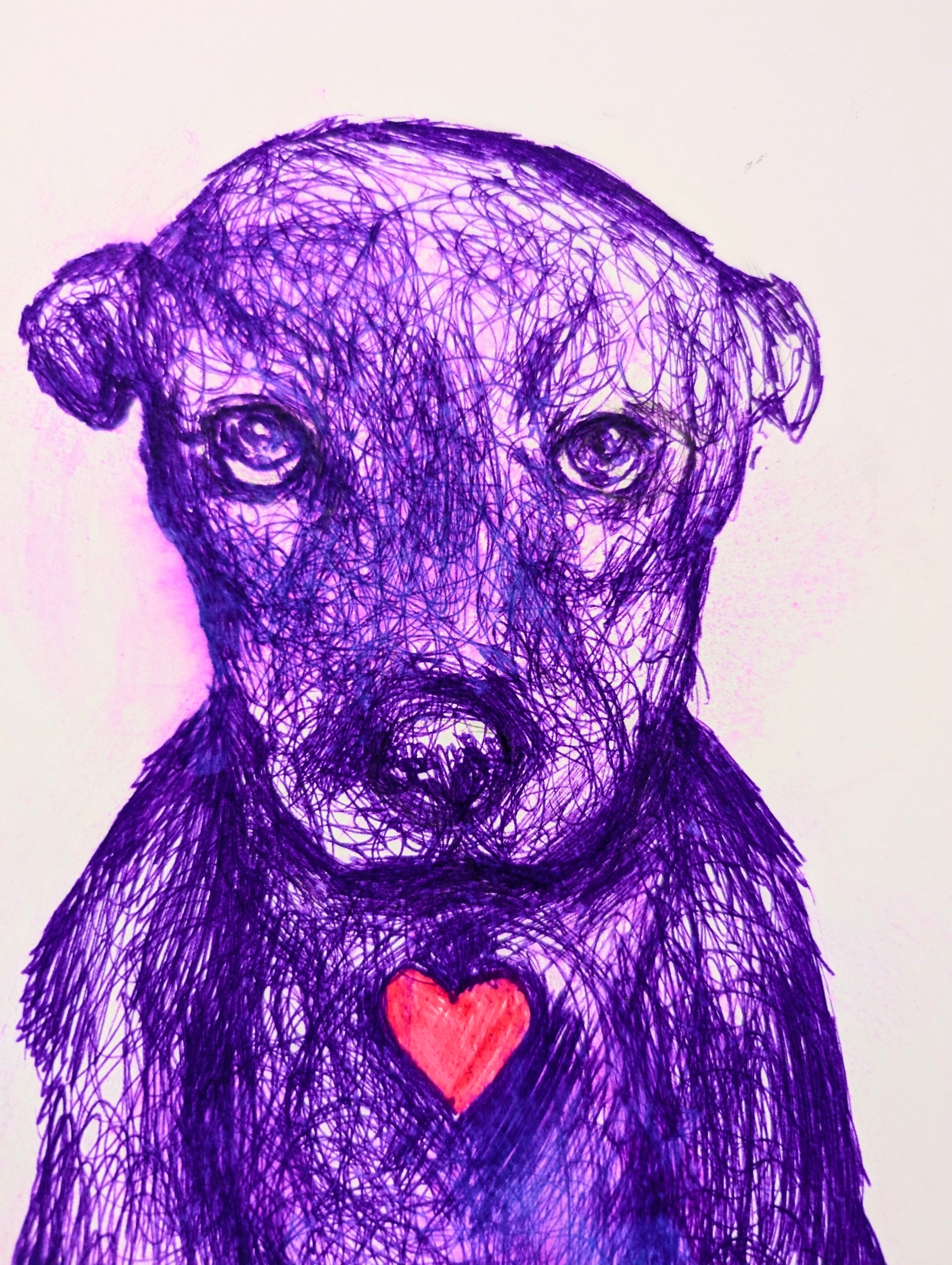 Purple line drawing of a dog with a pink heart on a white background