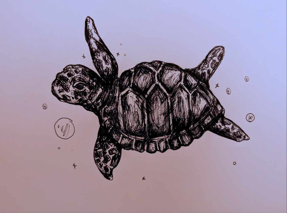 Turtle Swimming With Bubbles Pen Drawing Illustration Sketch Art A4 Size Unframed - Unorthodox Zoo