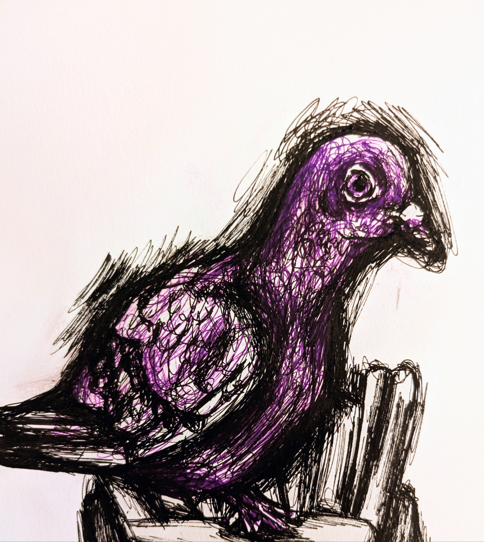 Purple Pigeon And Chunky Chips In Fries Box Portrait Unframed A4 Size Art Drawing Illustration Bird Art - Unorthodox Zoo