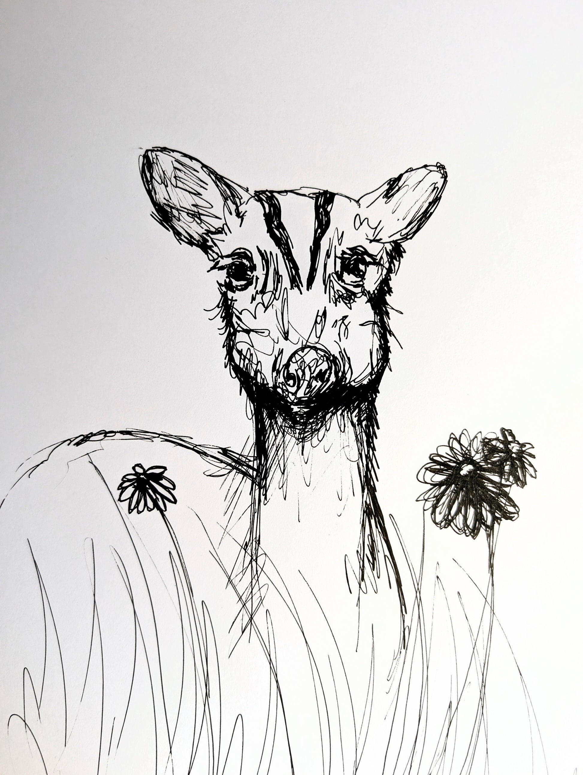Muntjack Deer With Flowers Grass Pen Illustration Drawing Sketch Art Portrait Unframed A4 Size - Unorthodox Zoo