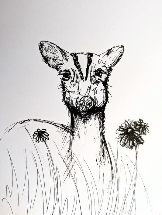 Muntjack Deer With Flowers Grass Pen Illustration Drawing Sketch Art Portrait Unframed A4 Size - Unorthodox Zoo