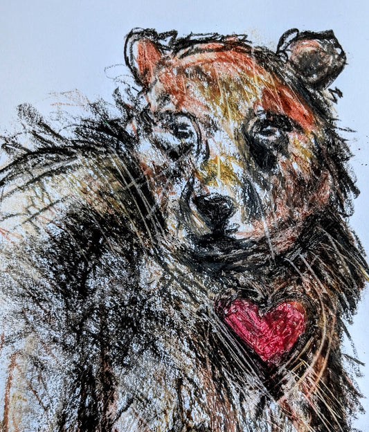 Bear With Heart Drawing Oil Pastel Illustration Sketch Art Portrait A4 Size Unframed - Unorthodox Zoo