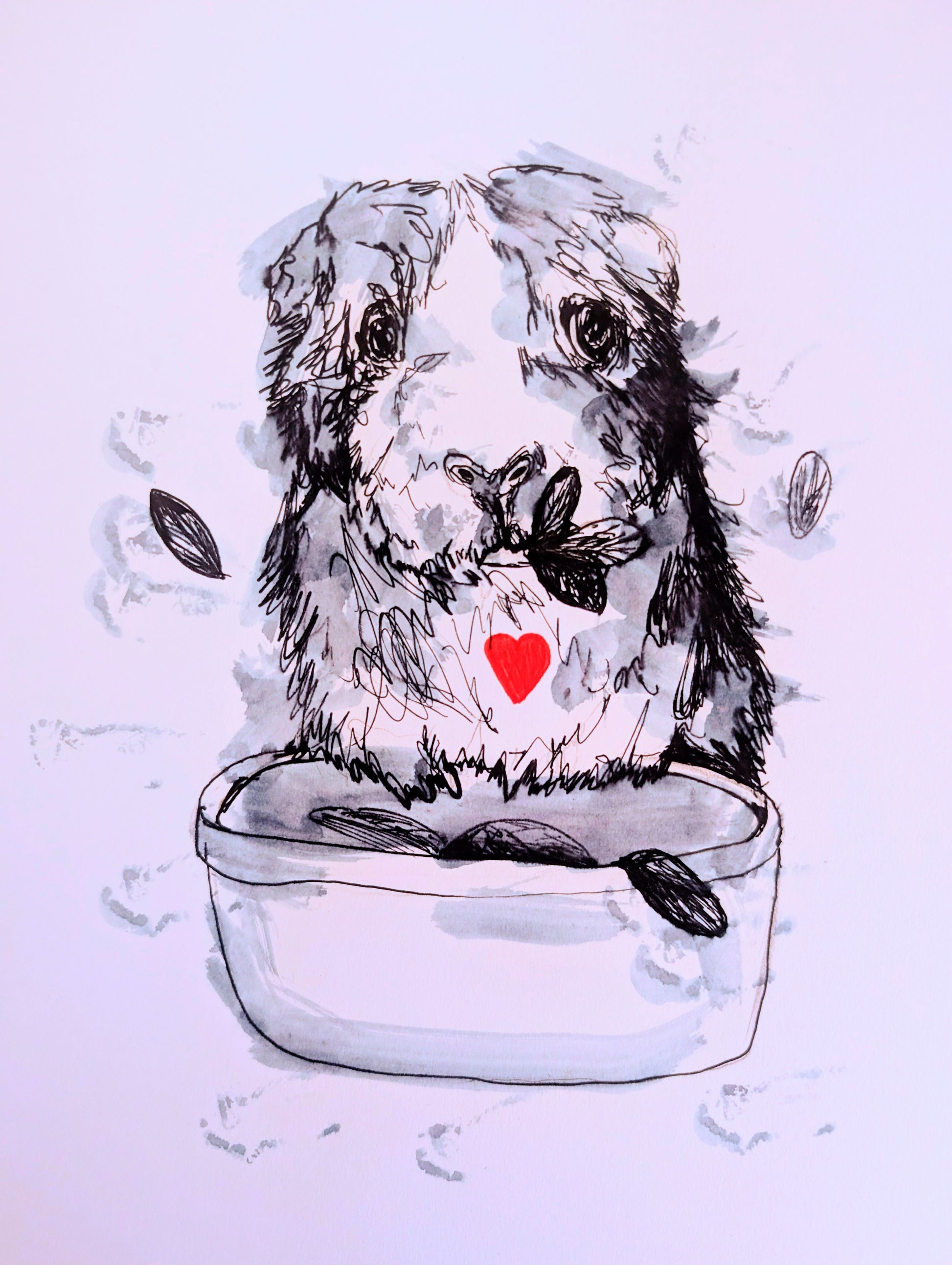 Guinea Pig With Red Heart Pen Drawing Illustration Sketch Art Portrait Unframed A4 Size - Unorthodox Zoo