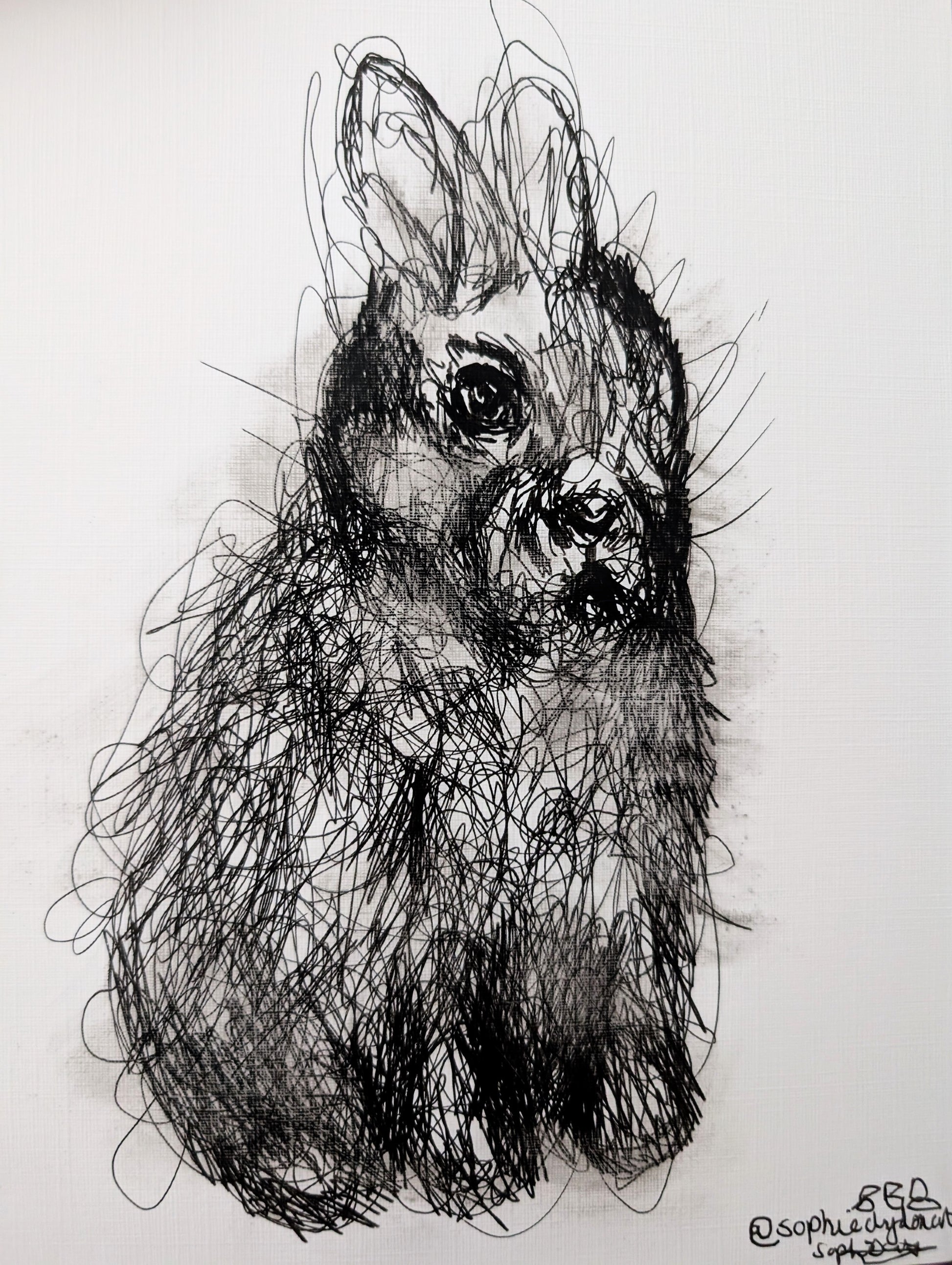 The Fluffy Bunny Rabbit With Sudge Marks Expressive Fur Pen Illustration Drawing Sketch Art Portrait Size 17.8 cm x 25.4 cm Unframed - Unorthodox Zoo