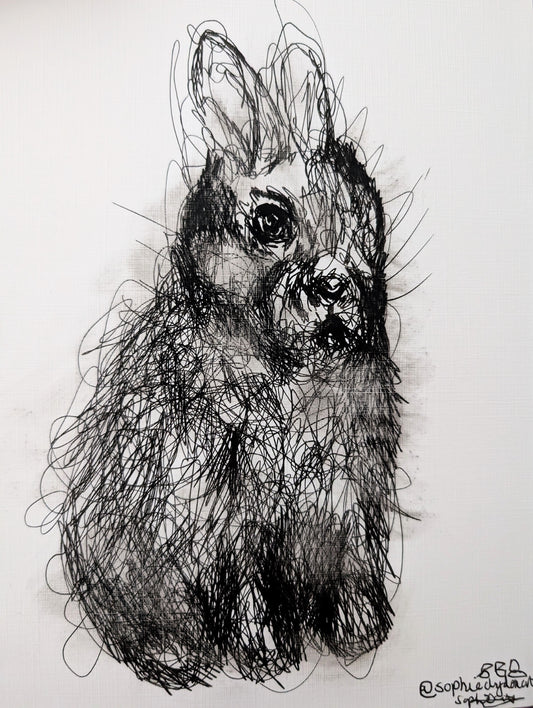 The Fluffy Bunny Rabbit With Sudge Marks Expressive Fur Pen Illustration Drawing Sketch Art Portrait Size 17.8 cm x 25.4 cm Unframed - Unorthodox Zoo