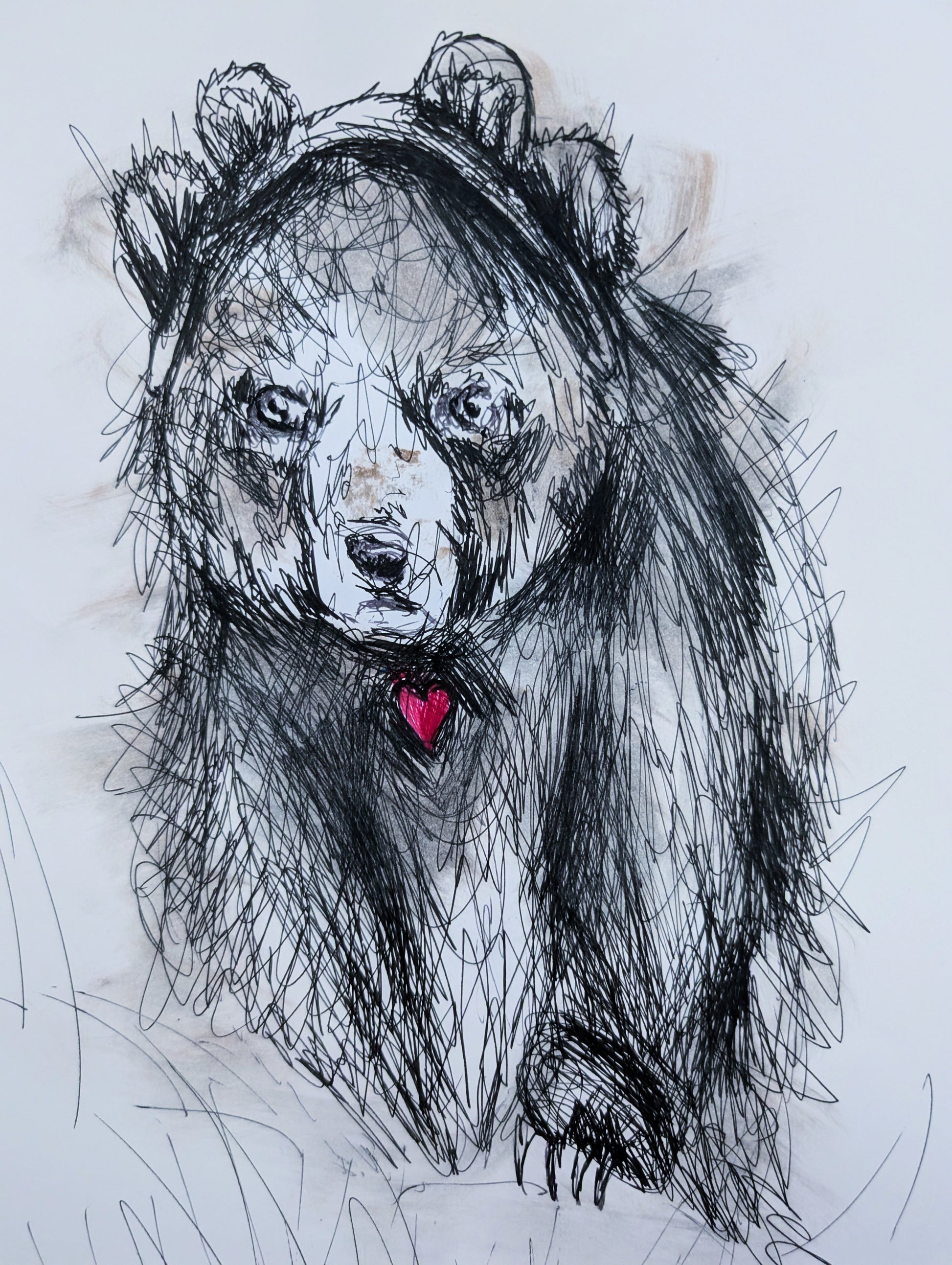 Bear With Bear Ears Little Pink Heart Drawing Illustration Sketch A3 Size Unframed - Unorthodox Zoo