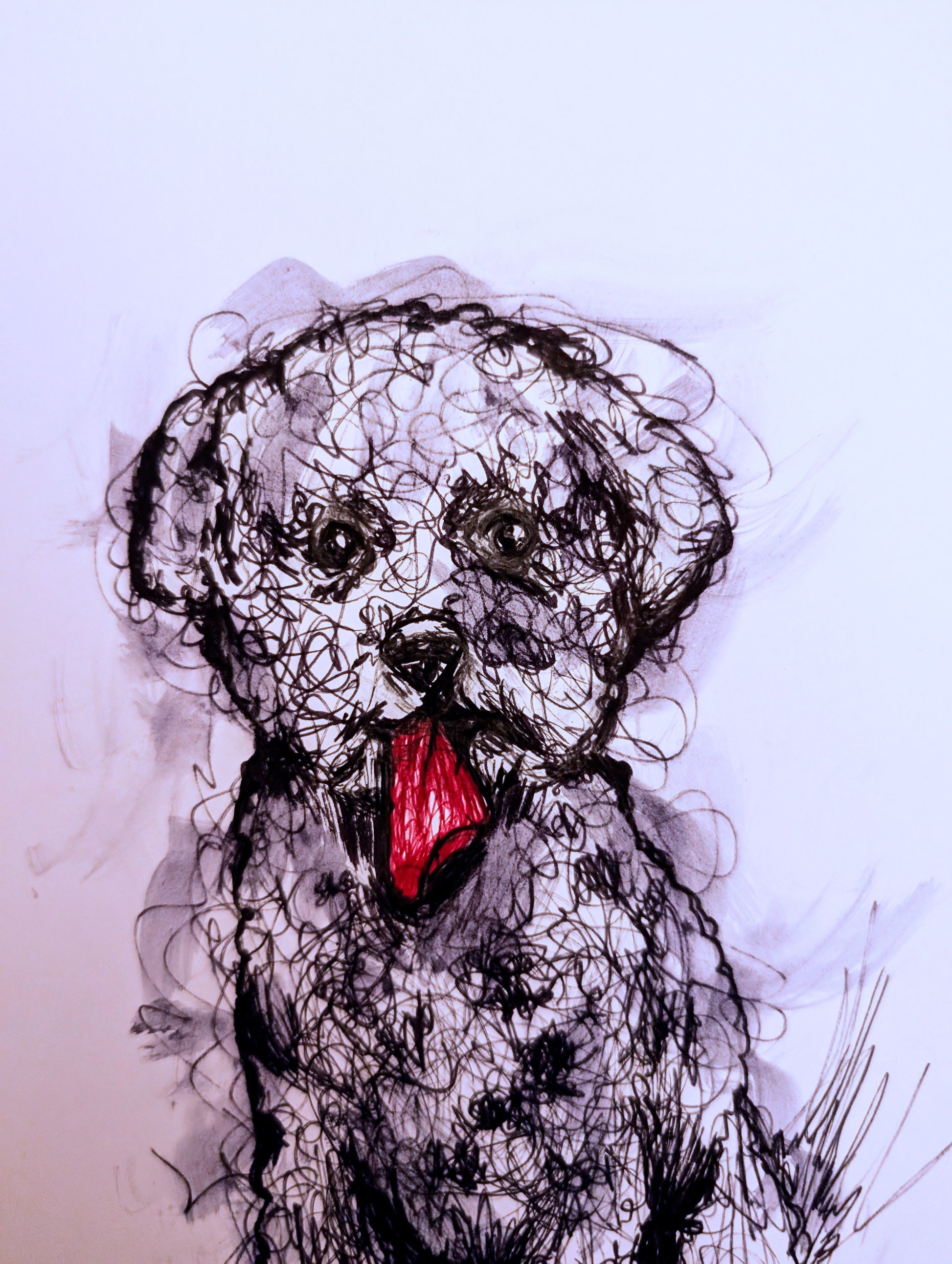 Curly Haired Dog With Dark Pink Tongue Sticking Out With Expressive Marks Pen Illustration Drawing Sketch Art Portrait Unframed A4 Size - Unorthodox Zoo