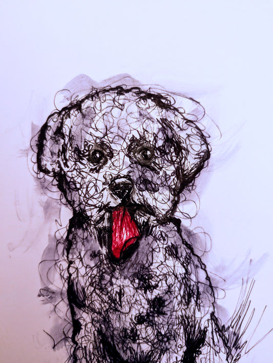 Curly Haired Dog With Dark Pink Tongue Sticking Out With Expressive Marks Pen Illustration Drawing Sketch Art Portrait Unframed A4 Size - Unorthodox Zoo