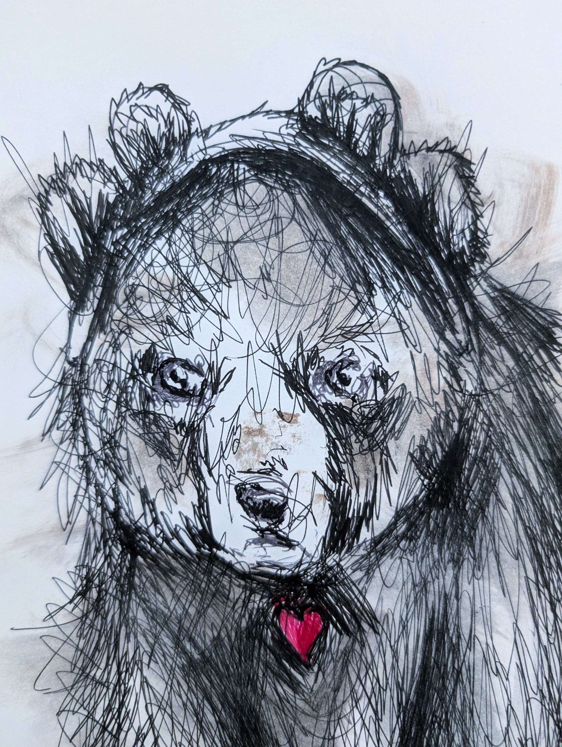 Bear With Bear Ears Little Pink Heart Drawing Illustration Sketch A3 Size Unframed - Unorthodox Zoo