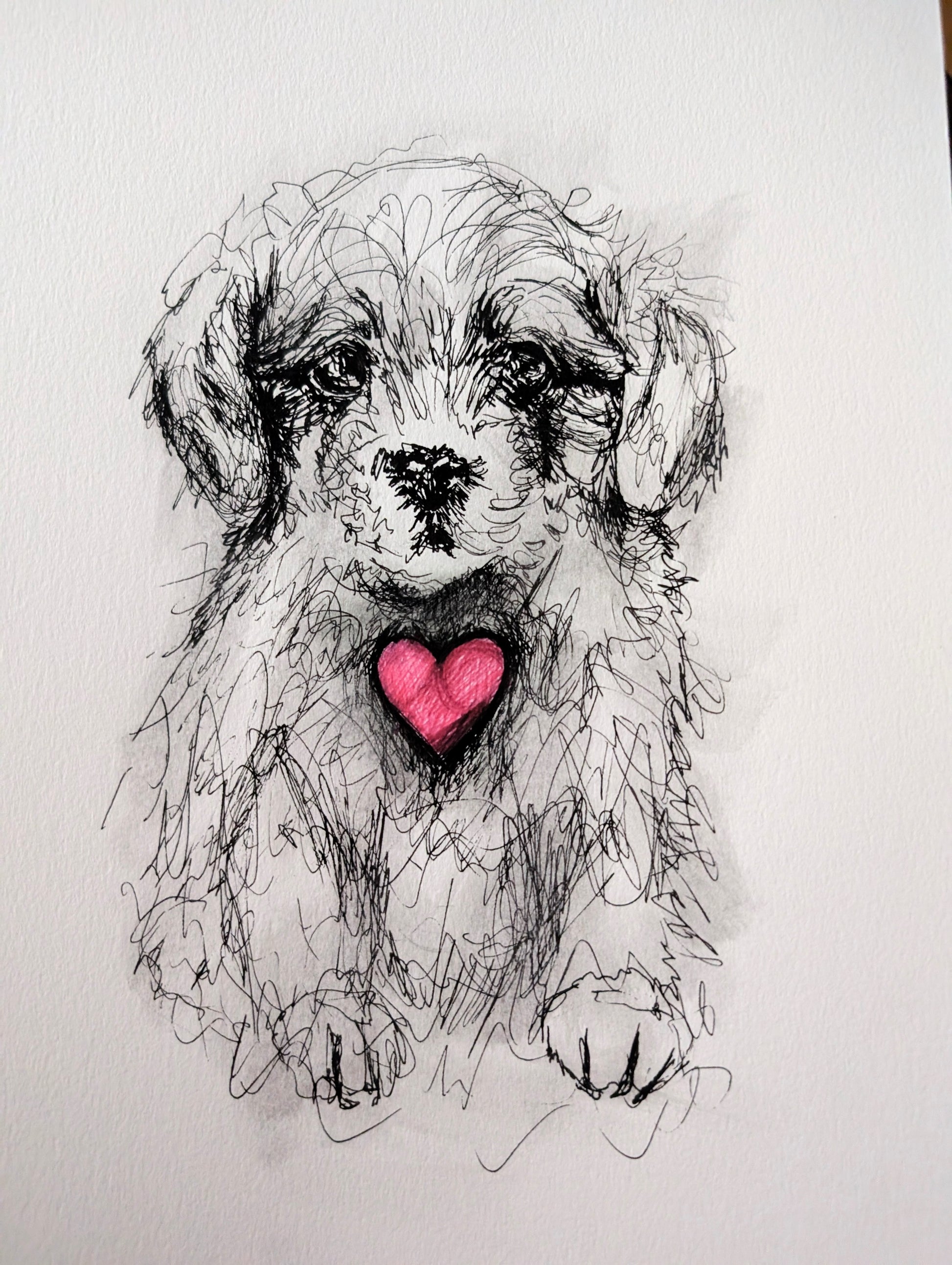 Fluffy Little Puppy Dog With Pink Heart With White Background Pen Illustration Drawing Sketch Art Unframed A4 Size - Unorthodox Zoo