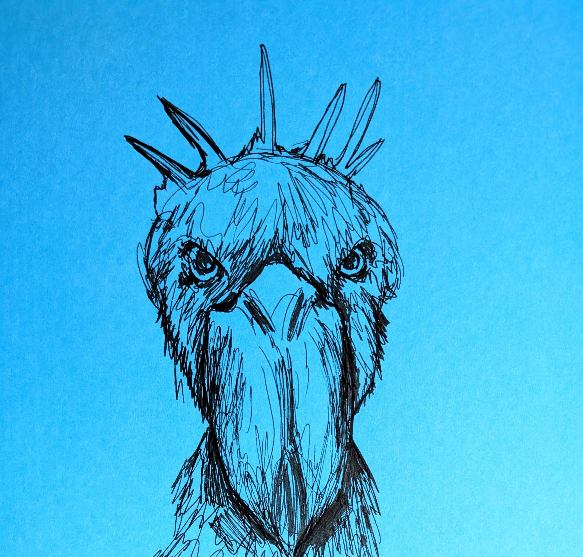 Shoebill Bird On Blue Card Art Pen Illustration Drawing Sketch Portrait Unframed A4 Size - Unorthodox Zoo
