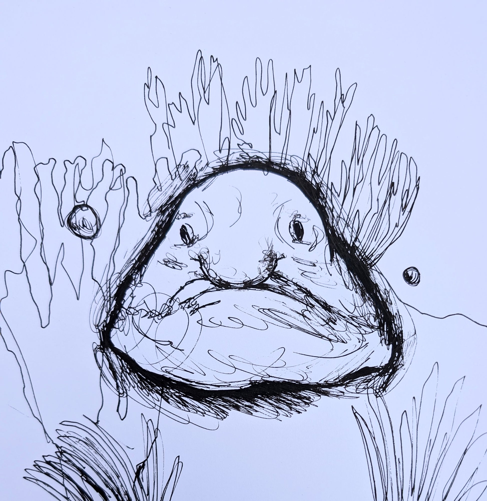 Blobfish Under The Water With Sea Plants Pen Drawing Illustration Sketch Art Portrait Unframed A4 Size - Unorthodox Zoo