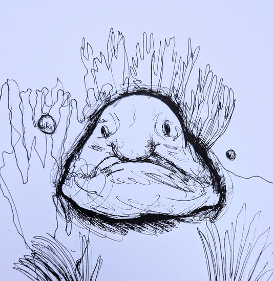 Blobfish Under The Water With Sea Plants Pen Drawing Illustration Sketch Art Portrait Unframed A4 Size - Unorthodox Zoo