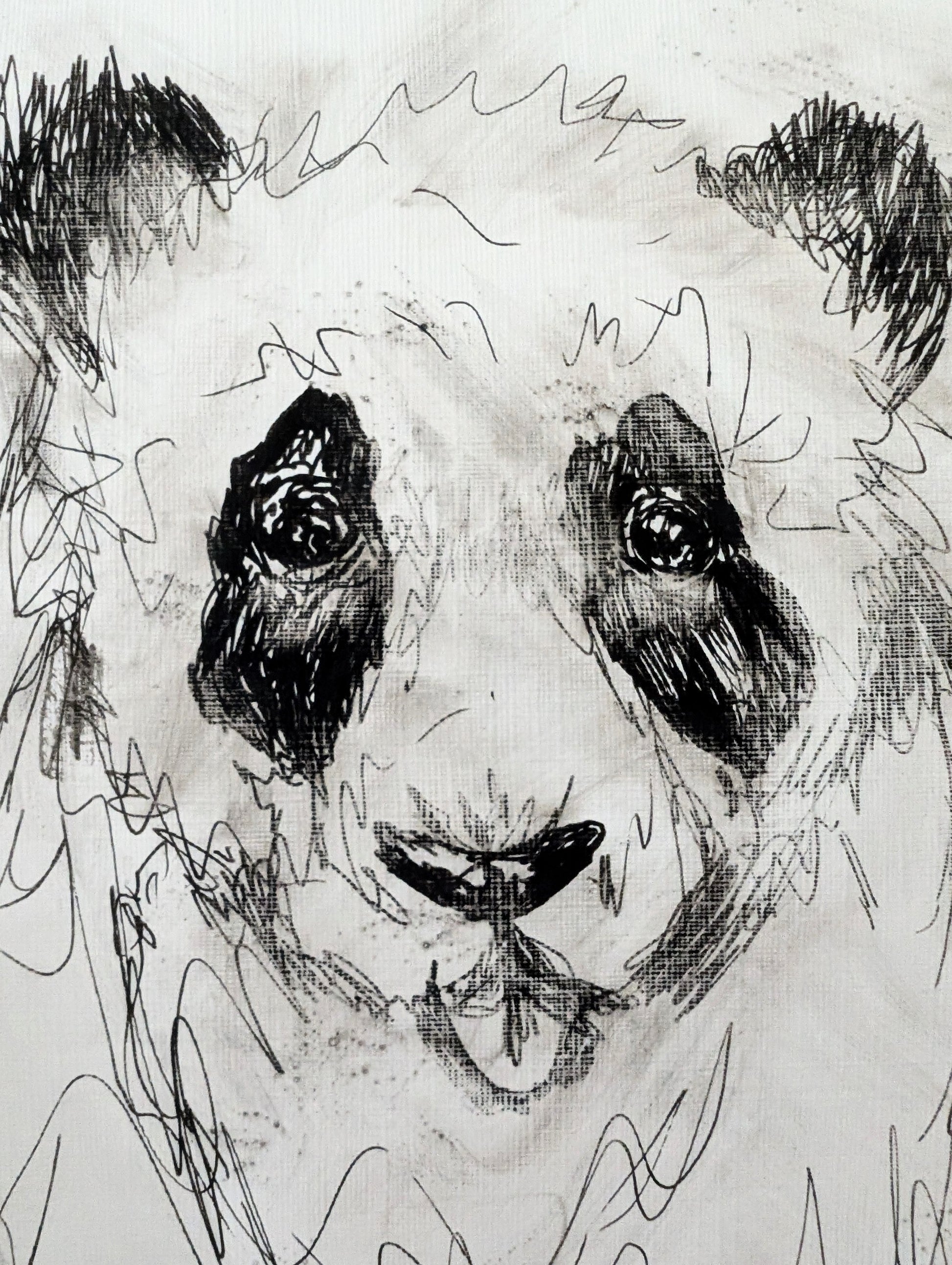 Panda Bear Fluffy Hair With Tongue Sticking Out Pen Drawing Illustration Sketch Art Portrait Size 17.8 cm x 25.4 cm Unframed - Unorthodox Zoo