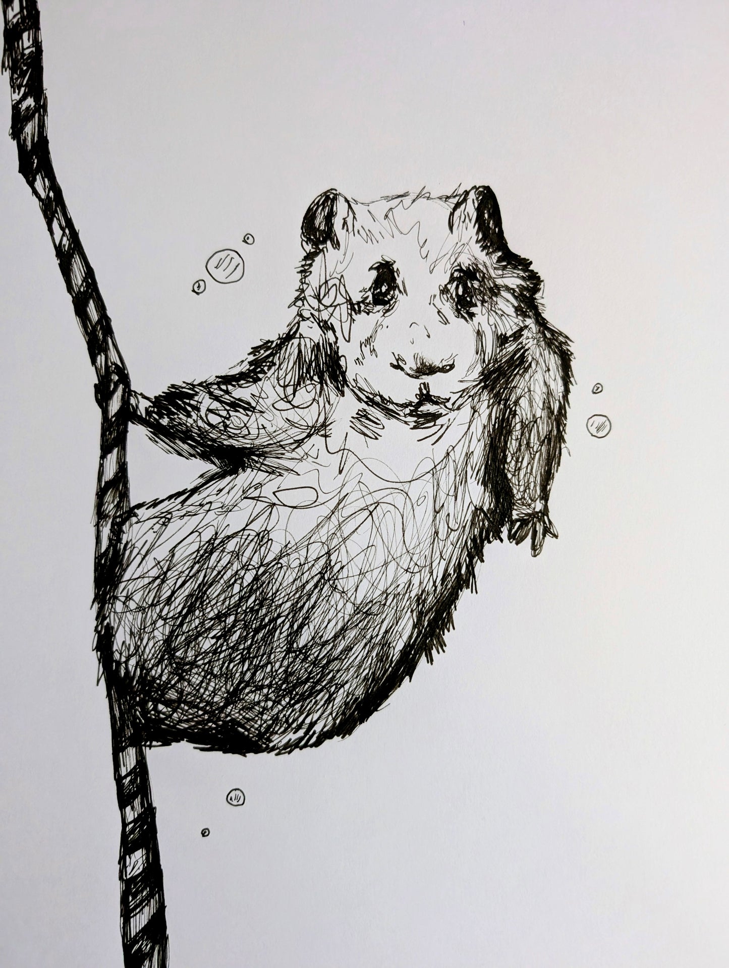 Hamster With Straw Bubbles Pen Drawing Illustration Sketch Art Portrait Unframed A4 Size