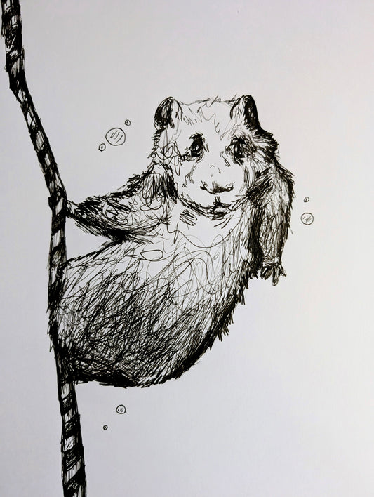 Hamster With Straw Bubbles Pen Drawing Illustration Sketch Art Portrait Unframed A4 Size