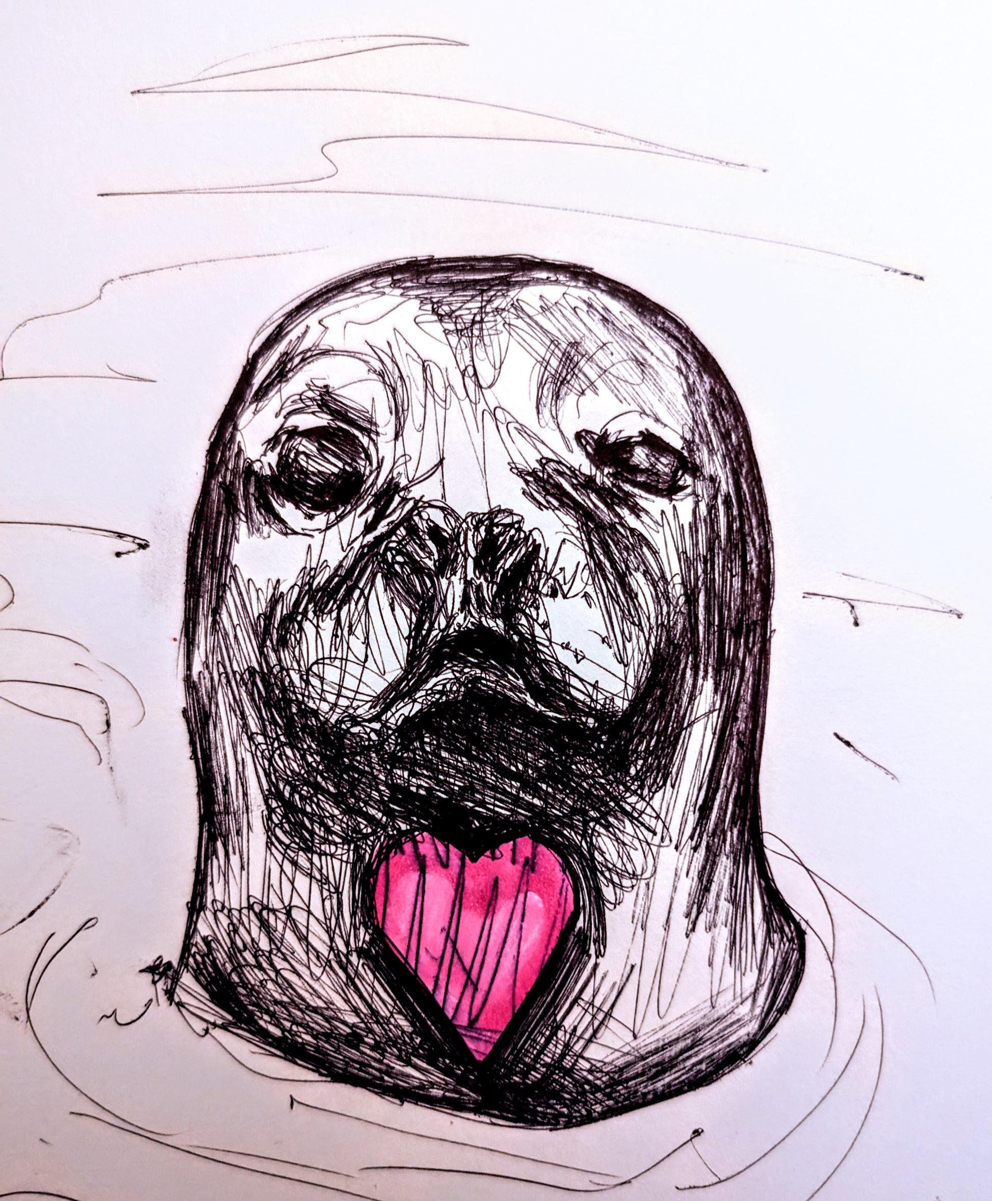 Seal With A Pink Heart In The Sea Pen Illustration Drawing Sketch Art Portrait Unframed A4 Size - Unorthodox Zoo