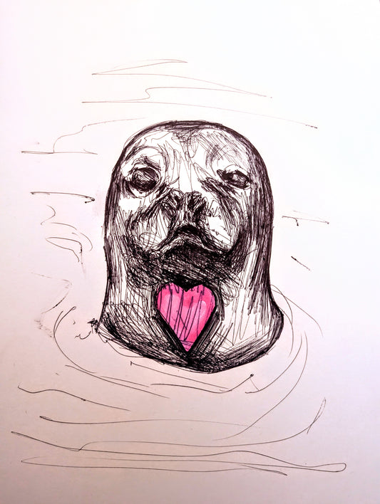 Seal With A Pink Heart In The Sea Pen Illustration Drawing Sketch Art Portrait Unframed A4 Size - Unorthodox Zoo