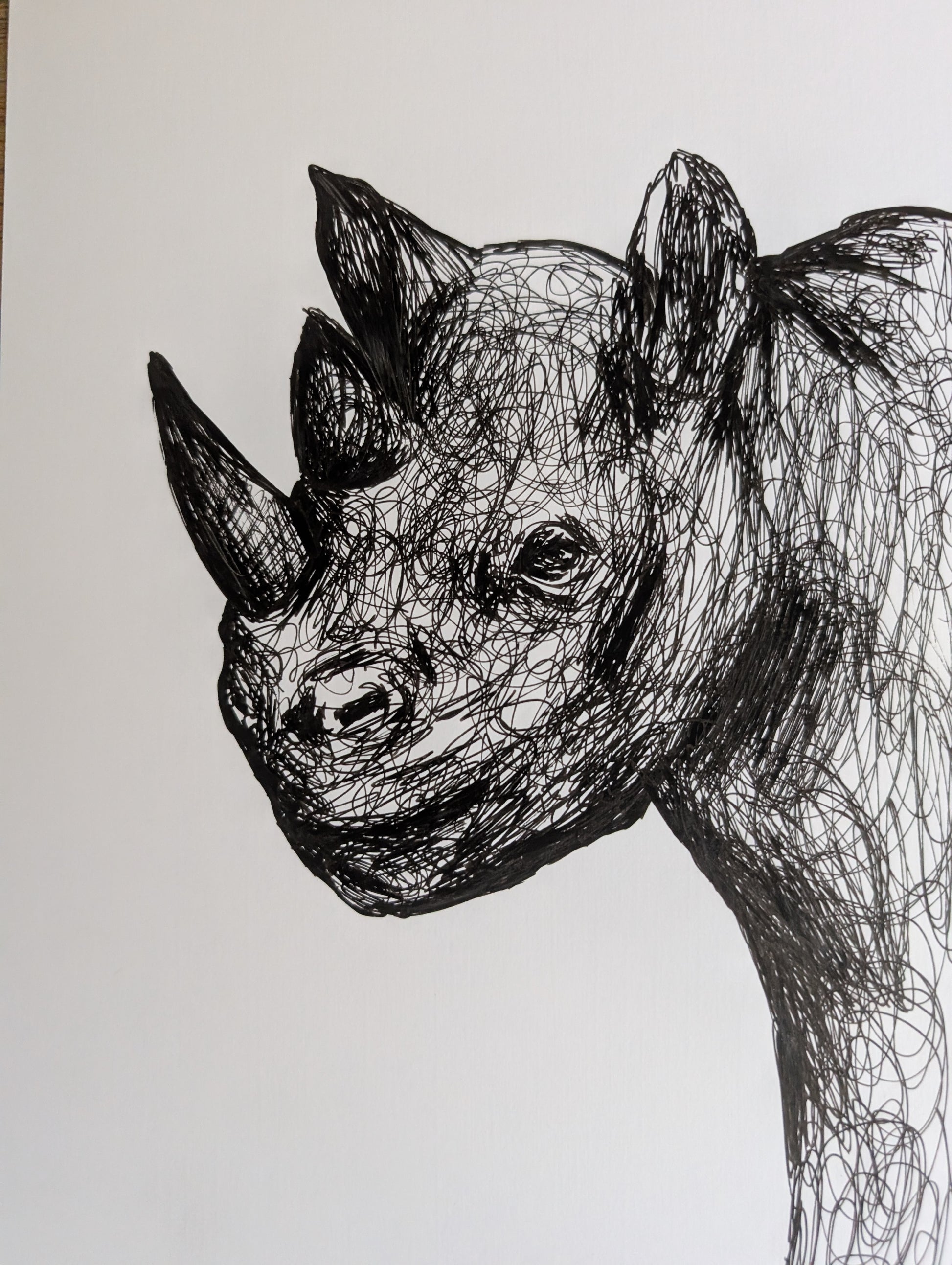 Scribble Doodle Rhino Pen Drawing Illustration Sketch Art Portrait Size 17.8 cm x 25.4 cm Unframed - Unorthodox Zoo