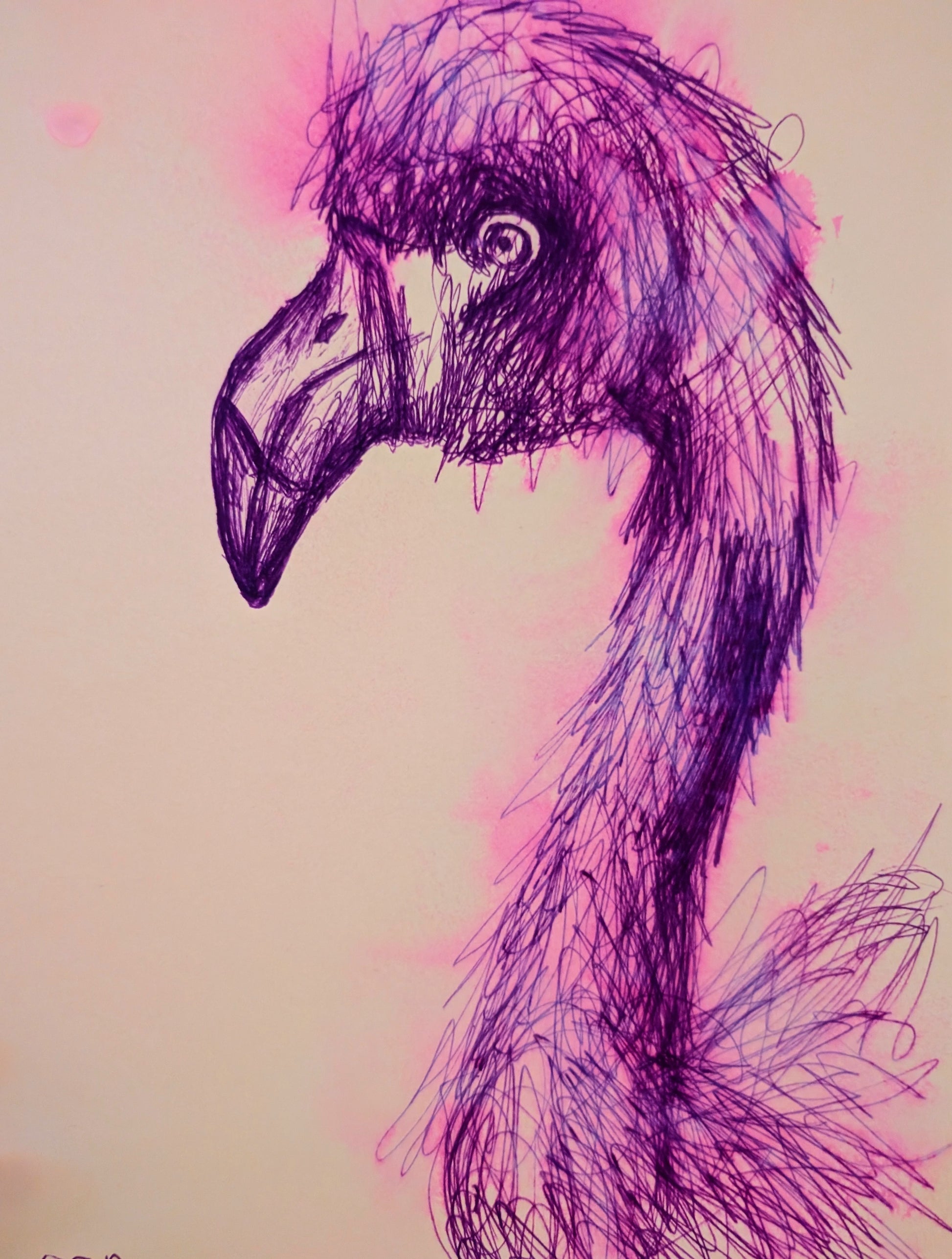 Purple Flamingo With Splash Effect Scribble Marking Drawing Illustration Sketch Art Portrait Unframed A4 Size - Unorthodox Zoo