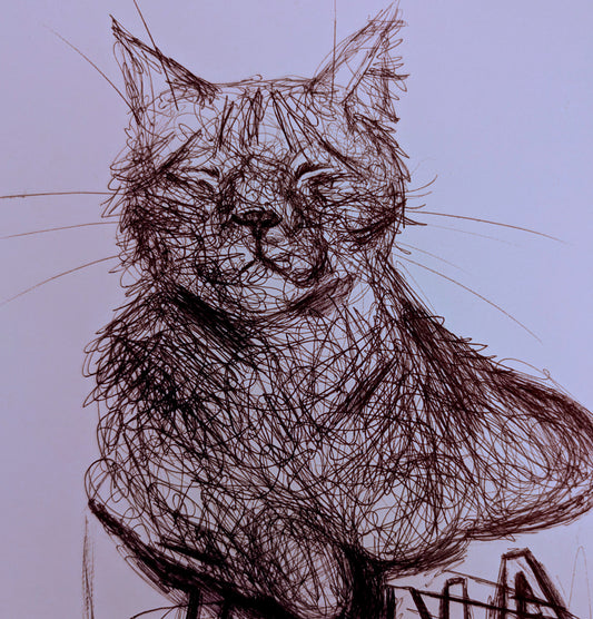 Cat In Tuna Can Sleeping Pen Drawing Illustration Animal Art Portraits A4 Size