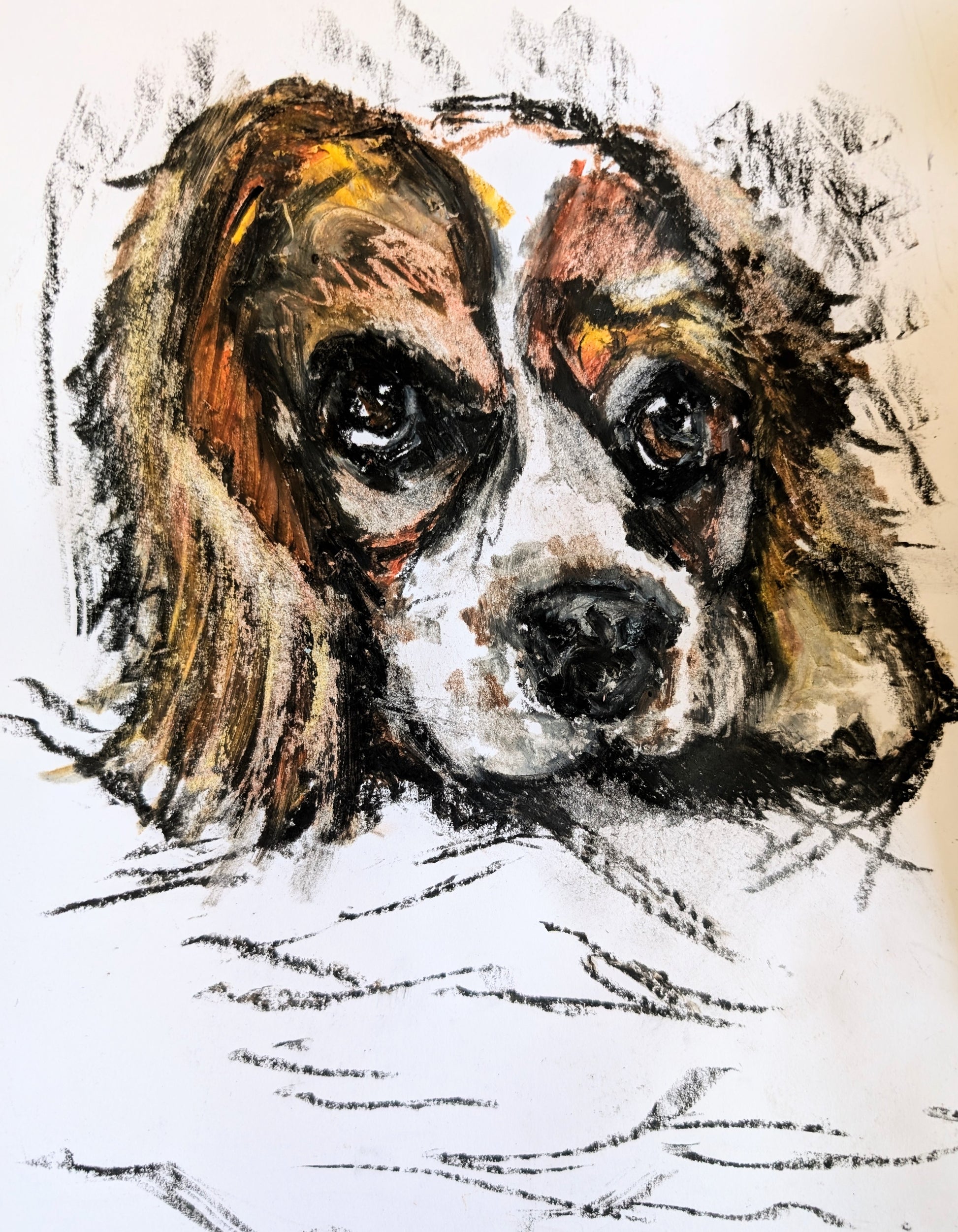 King Charles Cavalier Dog Drawing Illustration Sketch A4 Art Unframed Oil Pastel Drawing Oil Pastel Art Portrait - Unorthodox Zoo