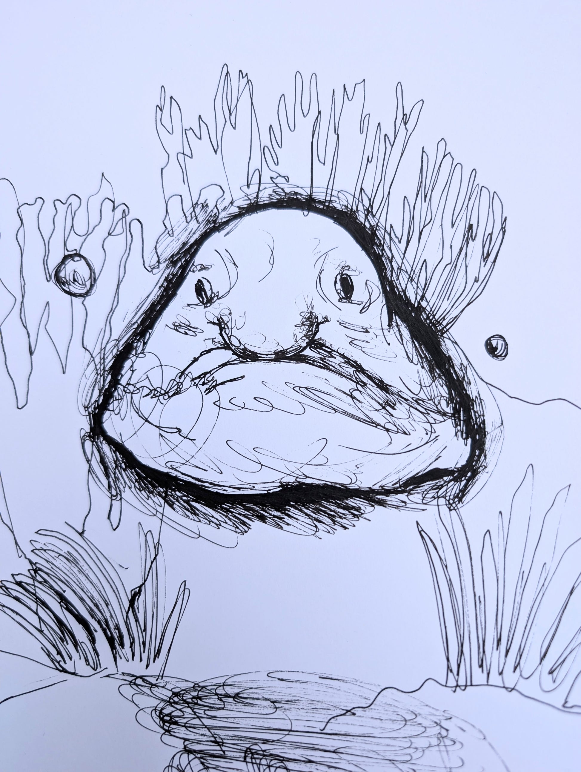 Blobfish Under The Water With Sea Plants Pen Drawing Illustration Sketch Art Portrait Unframed A4 Size - Unorthodox Zoo
