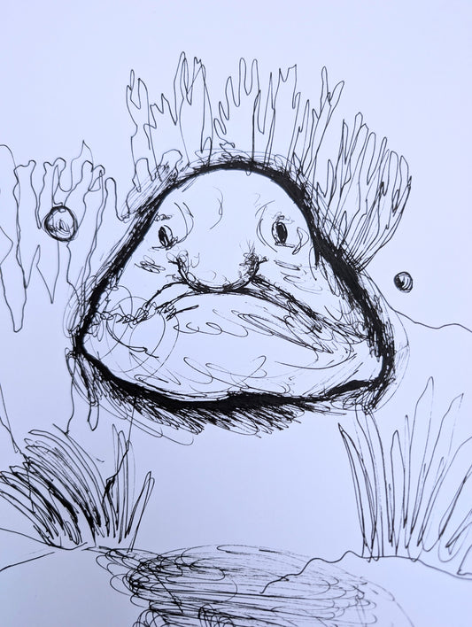 Blobfish Under The Water With Sea Plants Pen Drawing Illustration Sketch Art Portrait Unframed A4 Size - Unorthodox Zoo